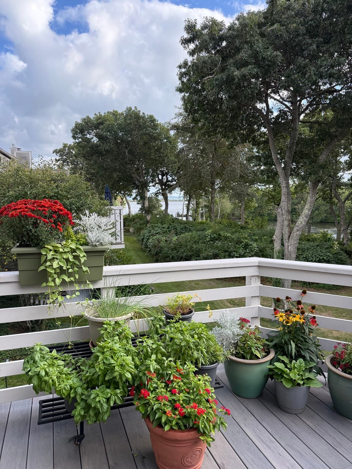 Condominium at 34 Landfall # 34, Falmouth MA 02540, Falmouth, photo 2 of 4