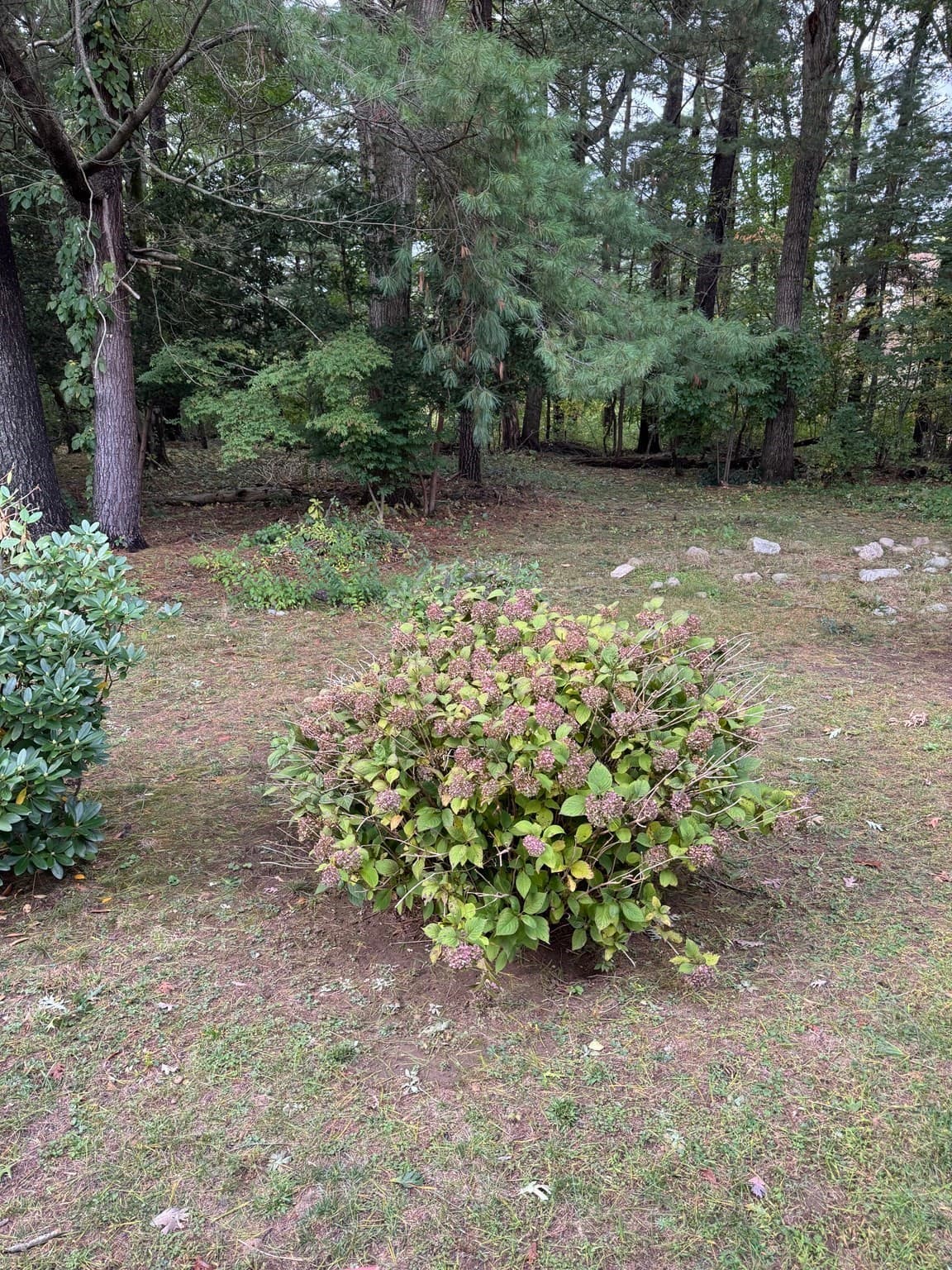 Single Family Residence at 9 Joal Ave, Walpole MA 02081, photo 31 of 34