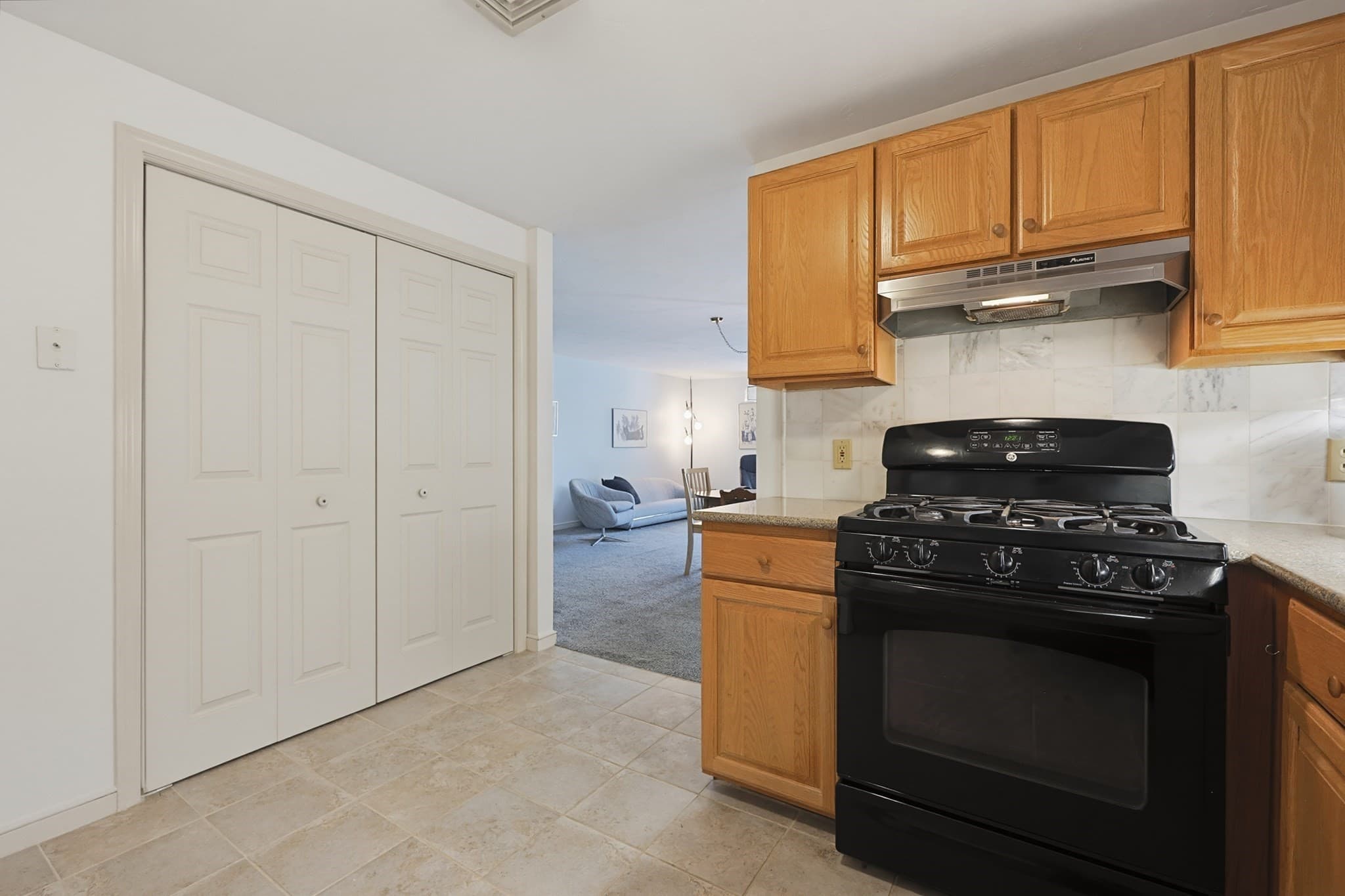 Condominium at 47 Rose Ct # 47, Norwood MA 02062, Norwood, photo 12 of 33
