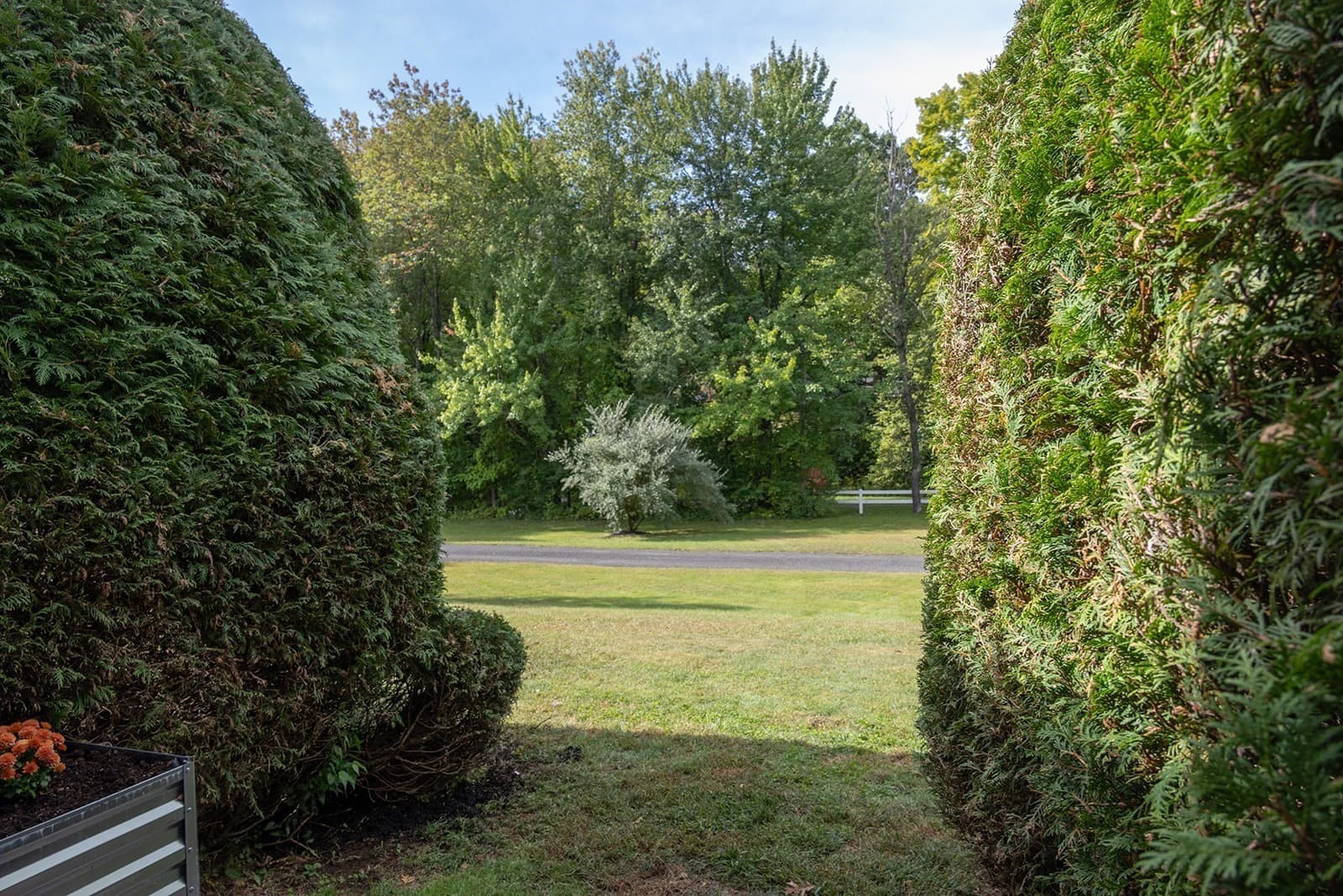 Condominium at 166 Hillside Rd # 5, Westfield MA 01085, Westfield, photo 34 of 40