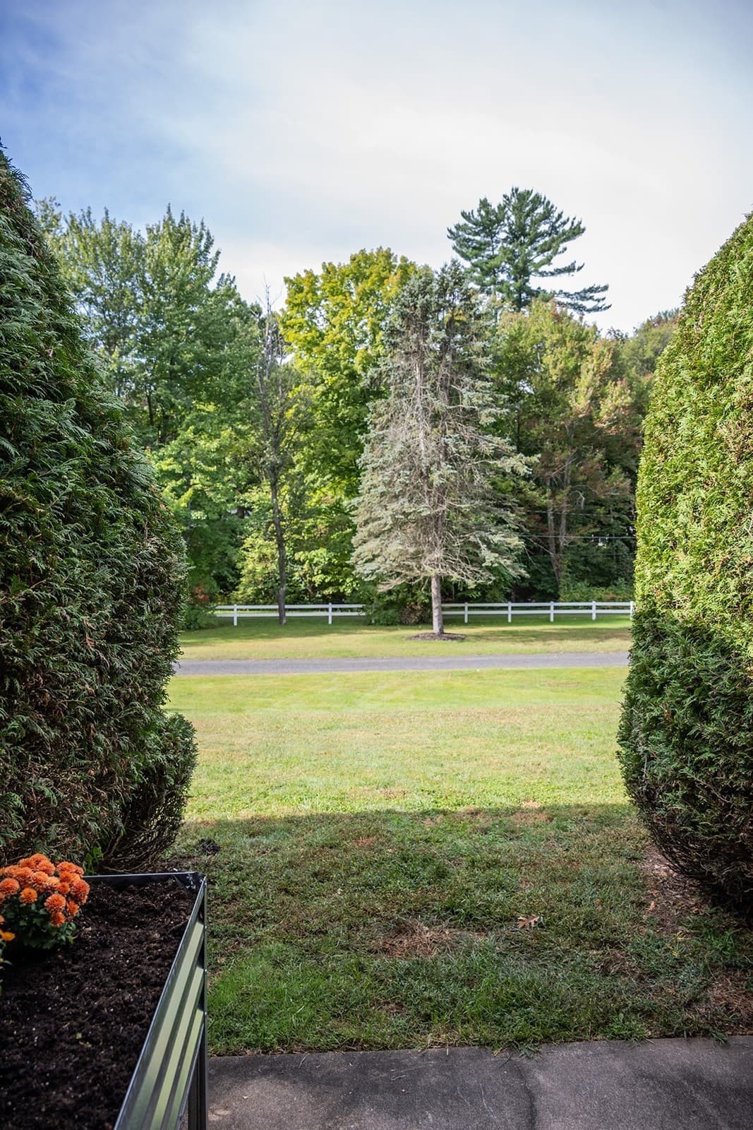 Condominium at 166 Hillside Rd # 5, Westfield MA 01085, Westfield, photo 35 of 40