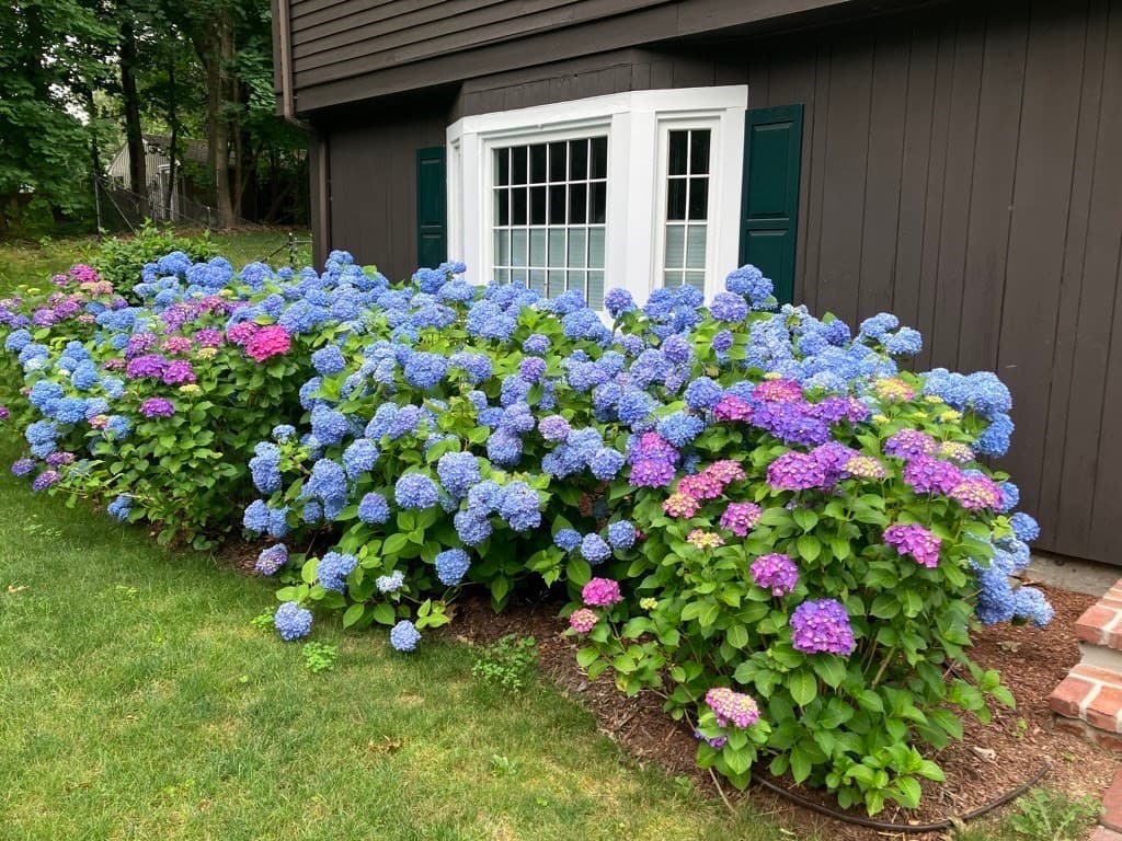 Single Family Residence at 32 Moore Road, Wayland MA 01778, Wayland, photo 6 of 37