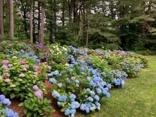 Single Family Residence at 32 Moore Road, Wayland MA 01778, Wayland, photo 12 of 37