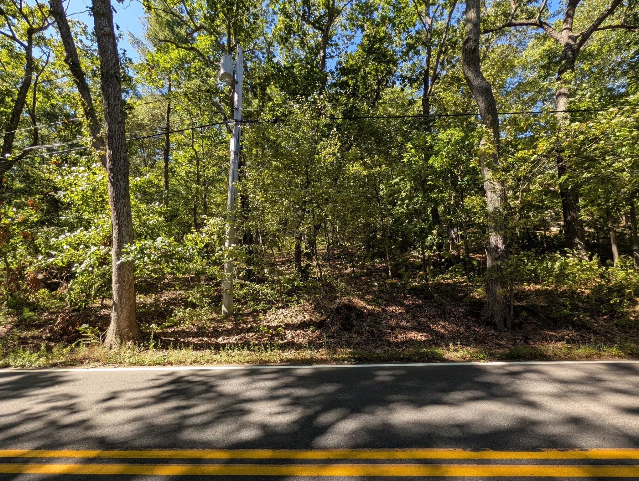 Lot 3 Pine Street, Dover MA 02030