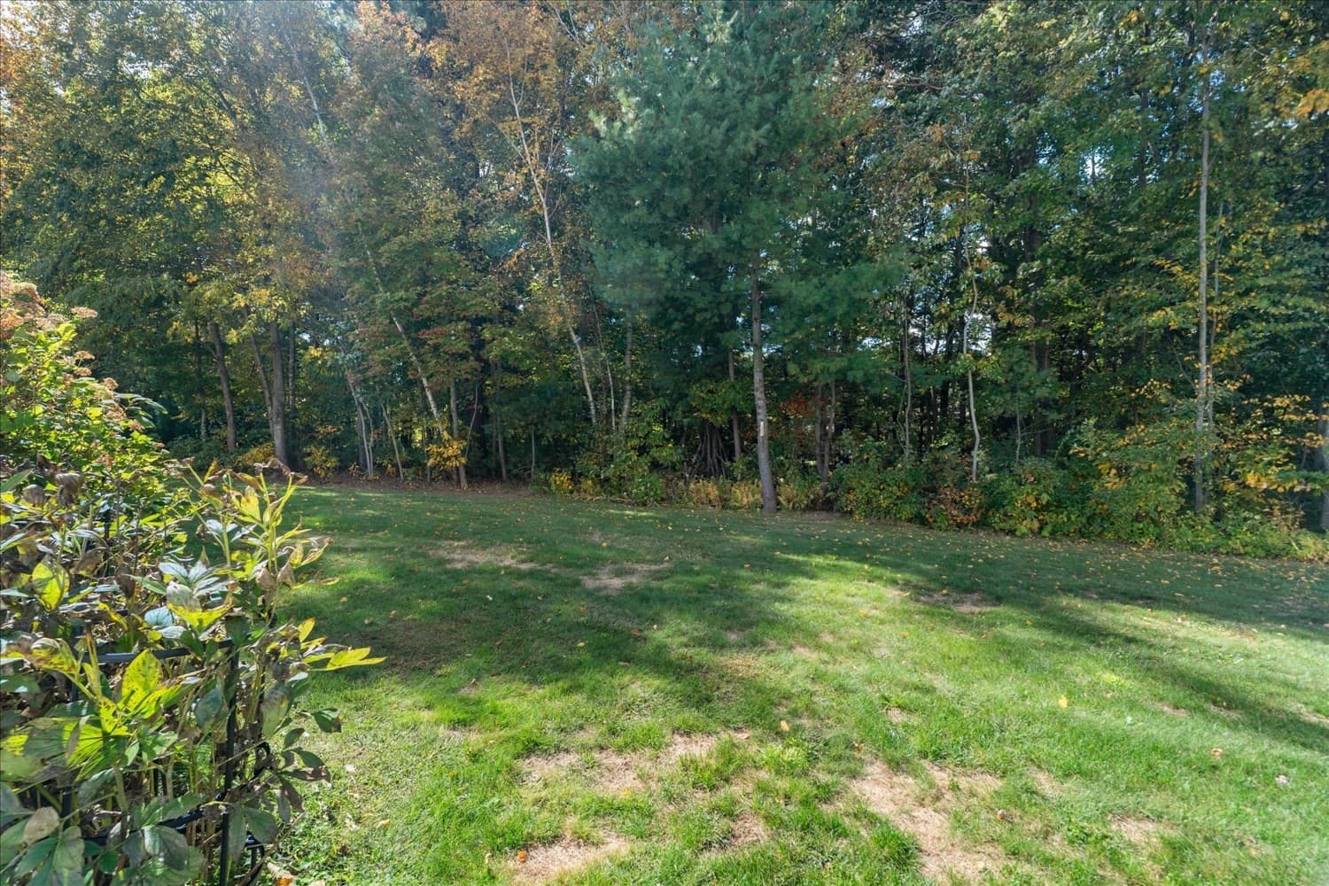 Condominium at 51 Lawrence Dr # 51, Franklin MA 02038, photo 40 of 40