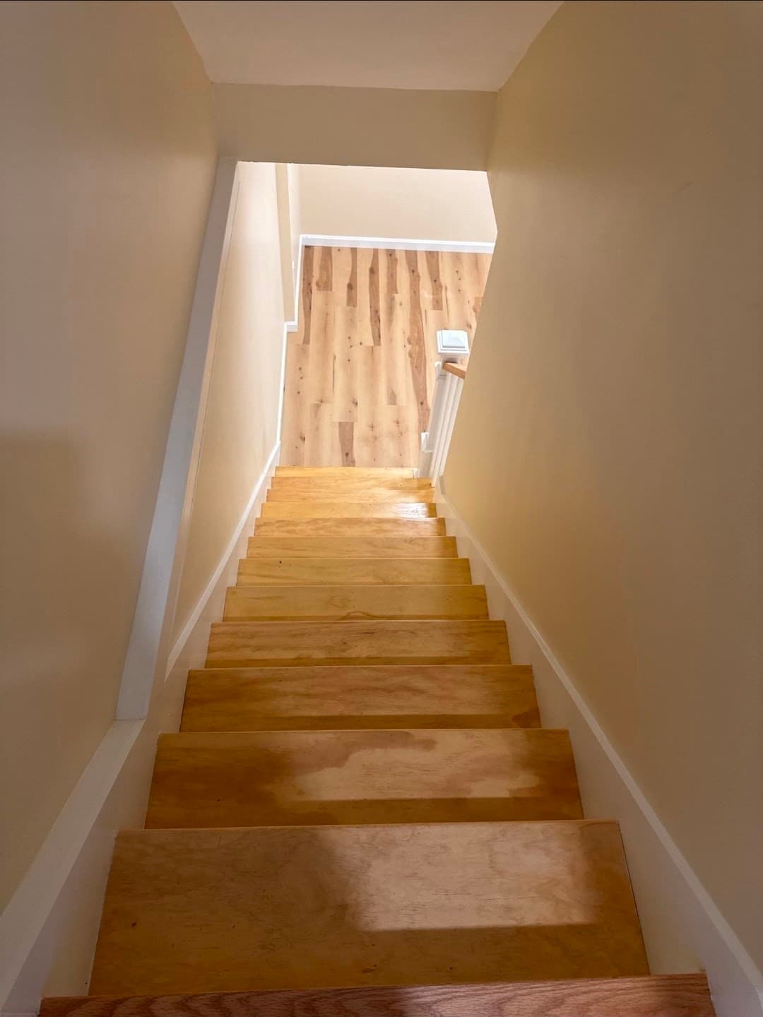 Single Family Residence at 11 Maitland Ave, Lowell MA 01851, Lowell, photo 9 of 12