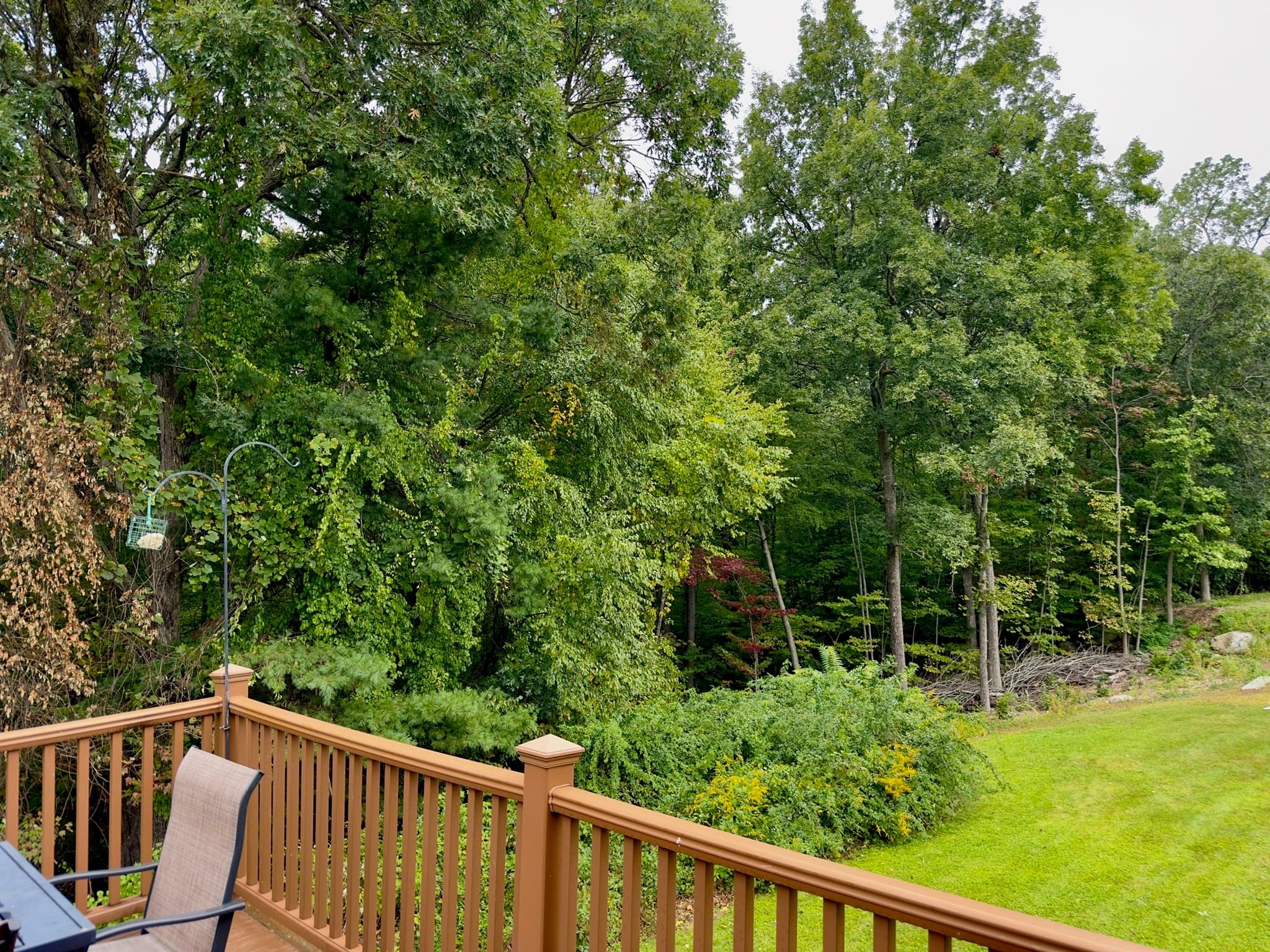 Single Family Residence at 75 Moreland Green Dr, Worcester MA 01609, Worcester, photo 25 of 26