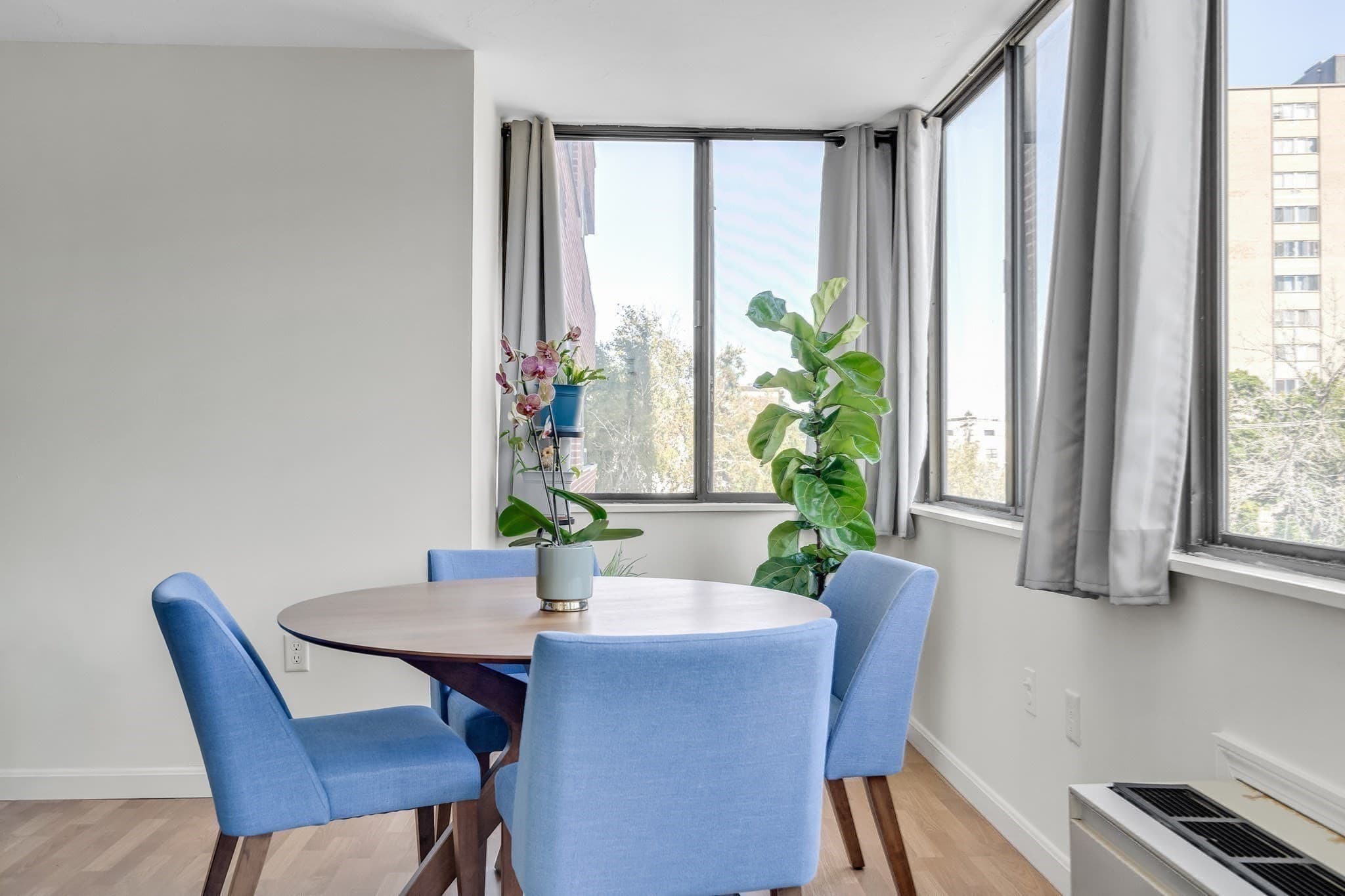 Condominium at 77 Adams Street # 310, Quincy MA 02169, Quincy, photo 19 of 32