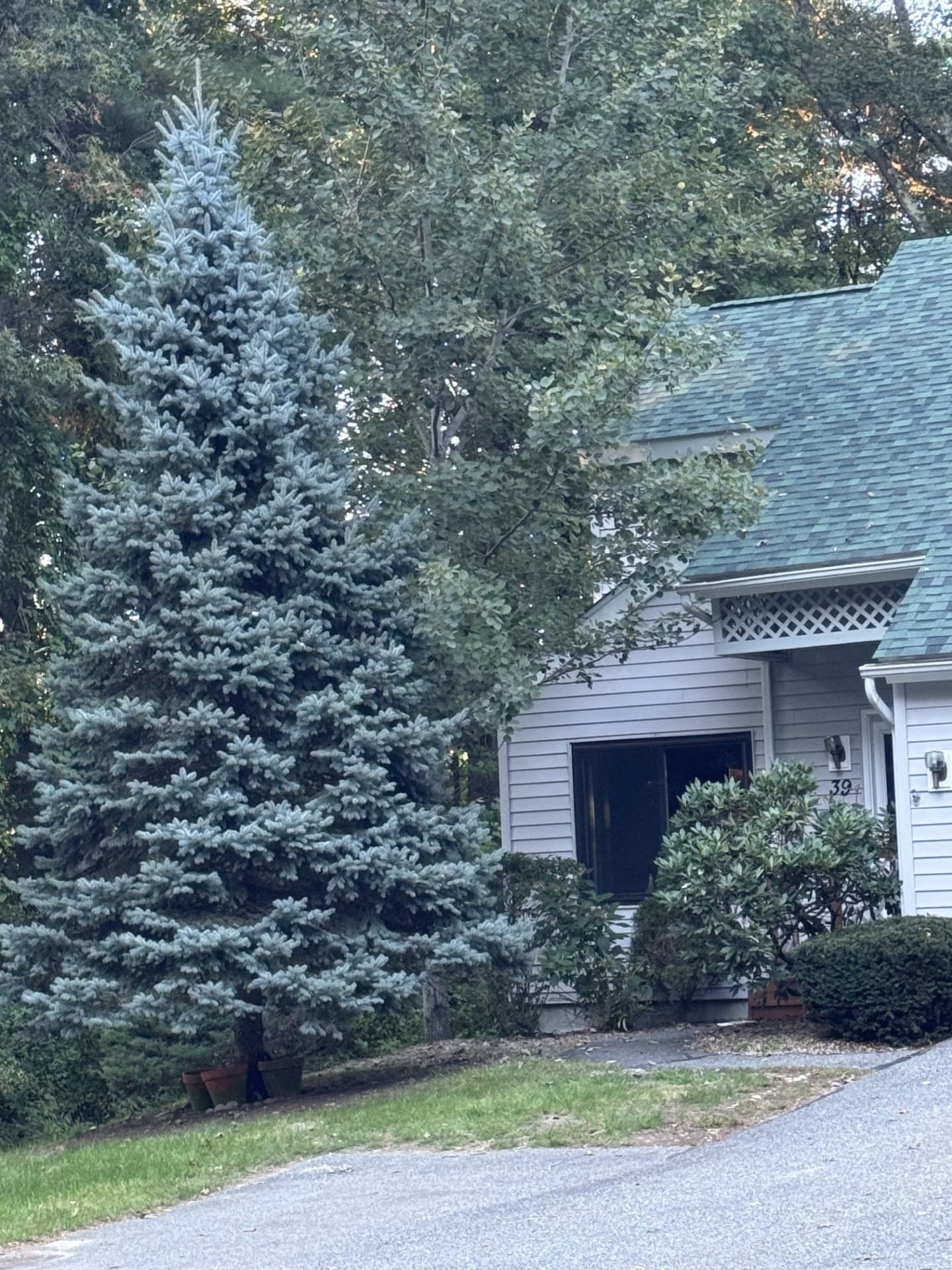 39 Aspen Drive # 39, Atkinson NH 03873