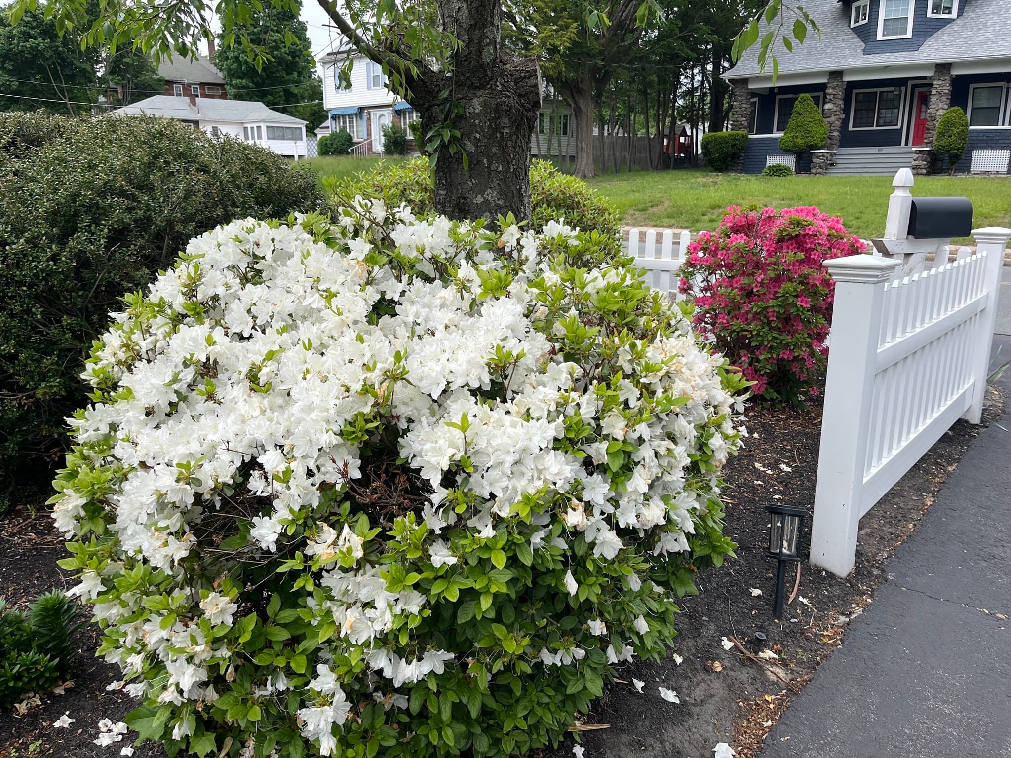 Single Family Residence at 510 Prospect Street, Methuen MA 01844, Methuen, photo 16 of 16