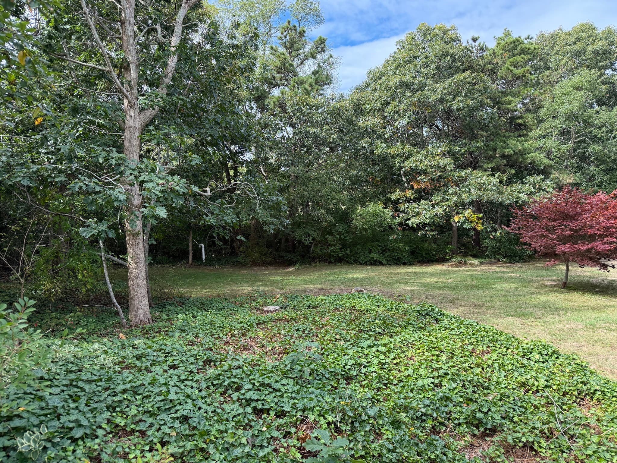 Condominium at 15 Linda Ln # 15, Eastham MA 02642, photo 8 of 30
