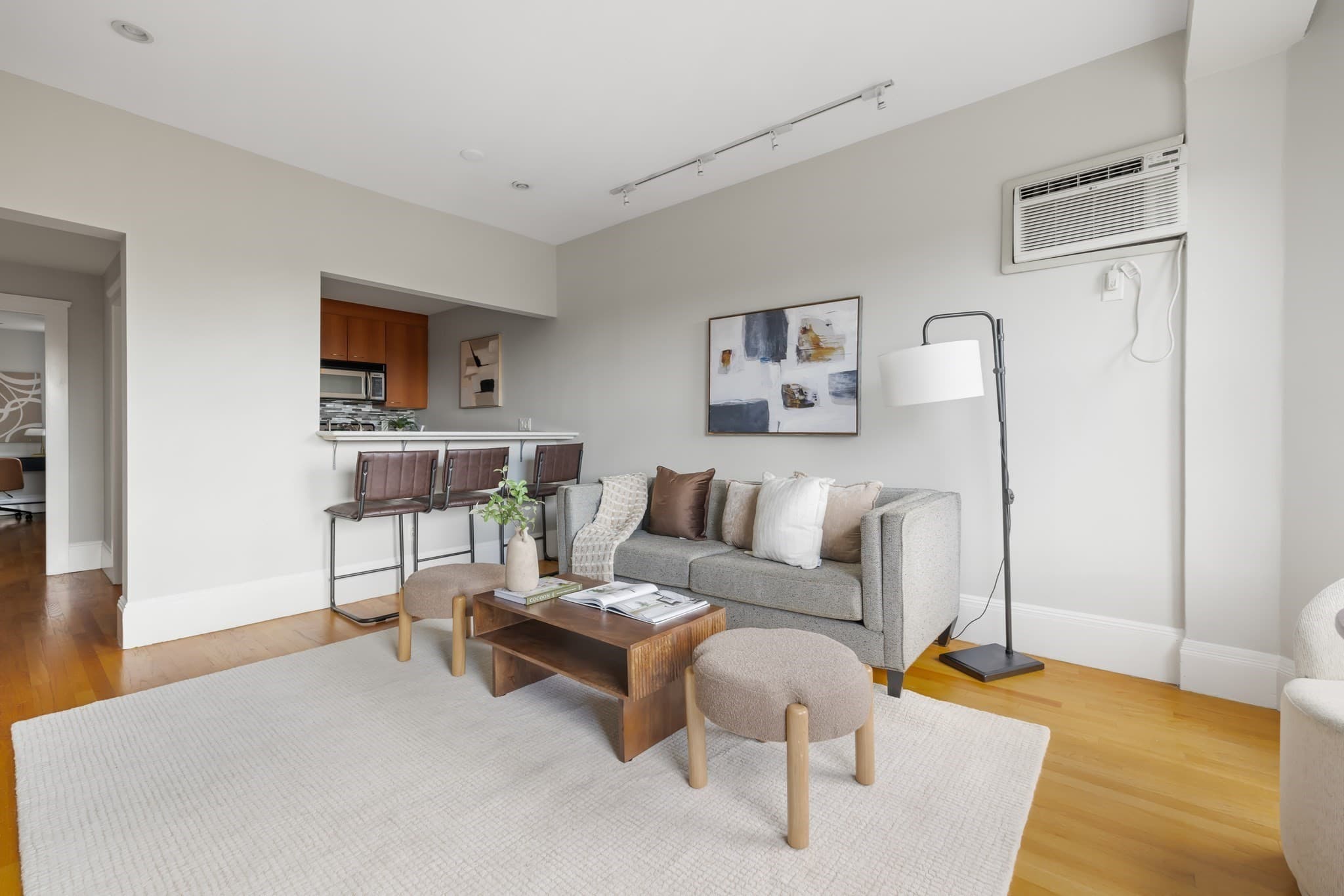 Condominium at 492 Massachusetts Ave # 51, Boston MA 02118, Boston, photo 4 of 20