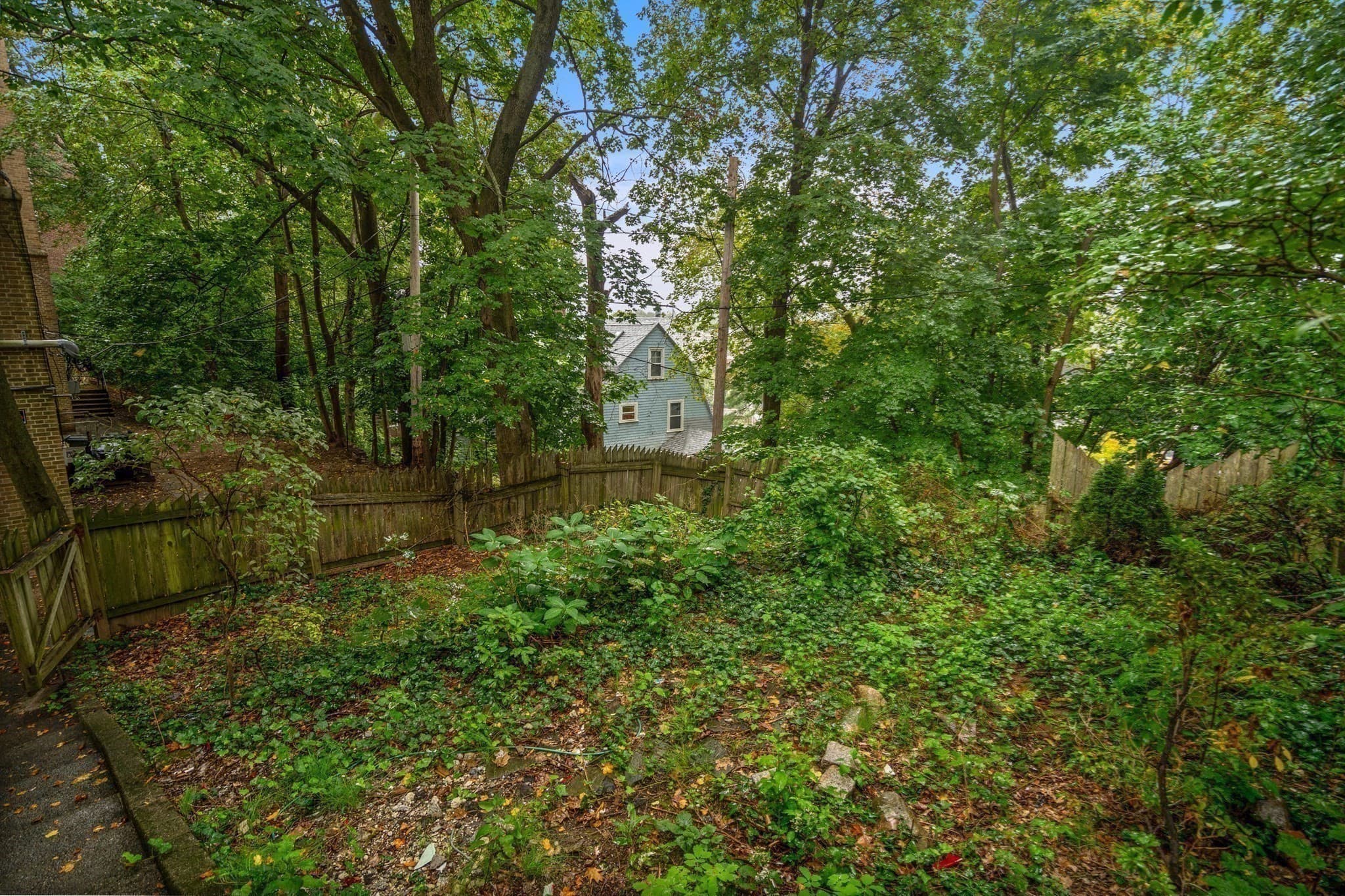 3 Family at 57 Notting Hill Road, Boston MA 02135, Boston, photo 21 of 21