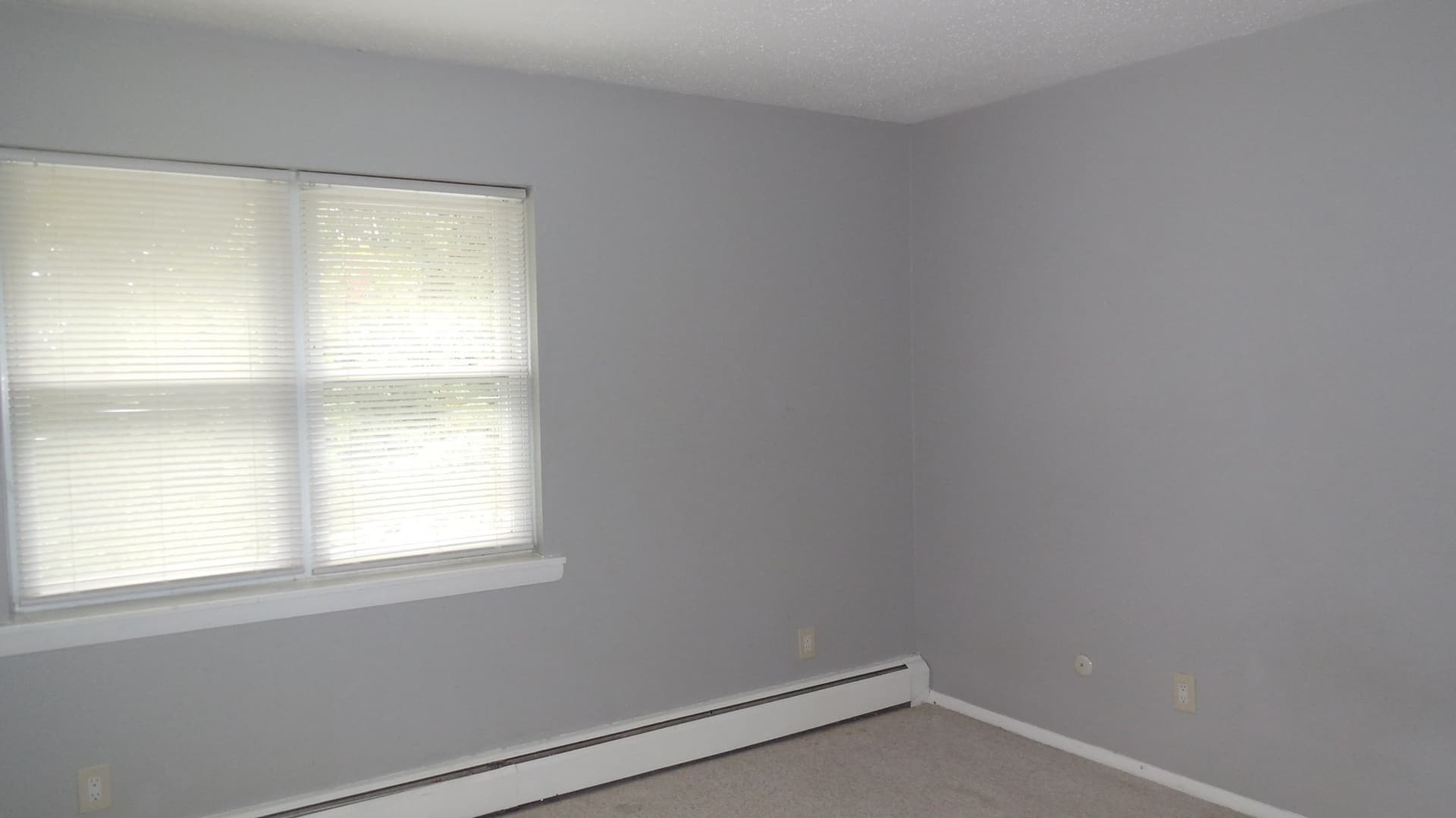 Condominium at 261 Regency Park Dr # 261, Agawam MA 01001, photo 7 of 13