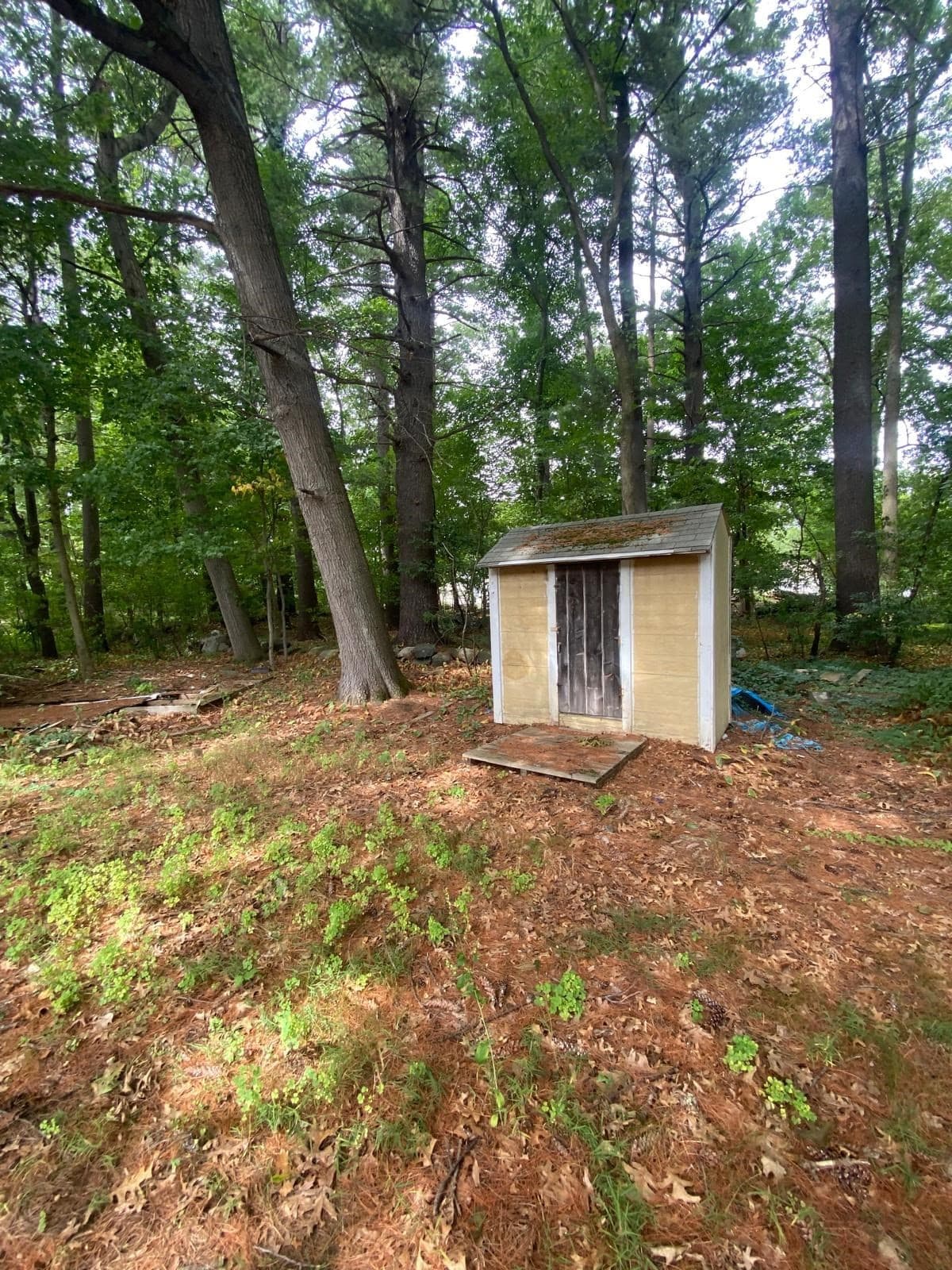 Single Family Residence at 266 Lowell St, Wilmington MA 01887, Wilmington, photo 20 of 29