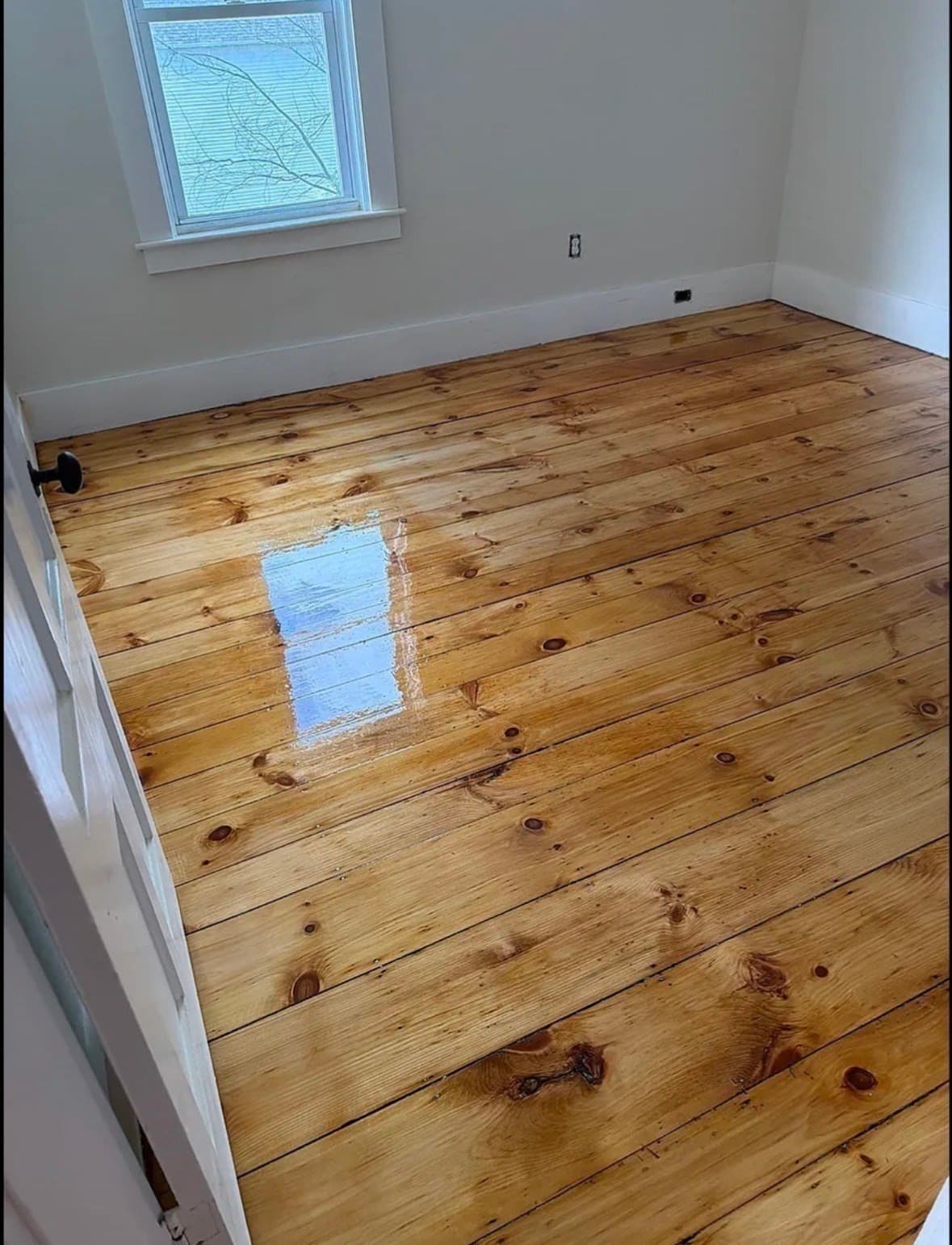 4 Family at 22 Goldsmith Street, Littleton MA 01460, Littleton, photo 7 of 23