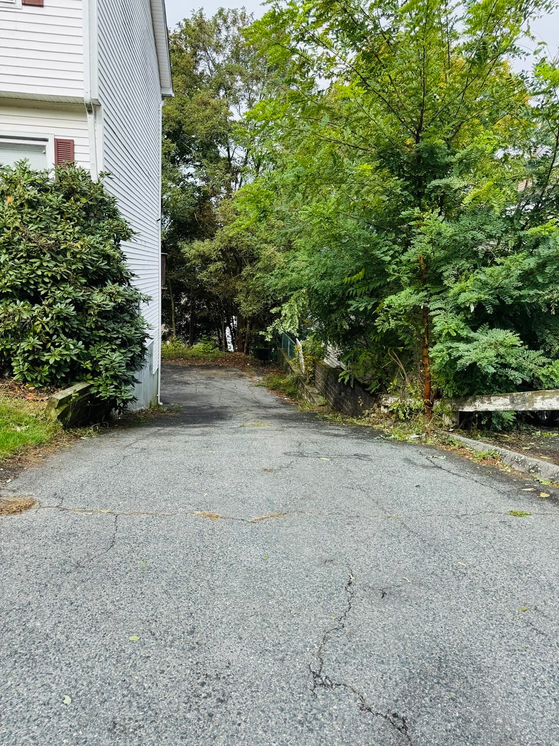 Single Family Residence at 67 Everard St, Worcester MA 01605, Worcester, photo 21 of 21