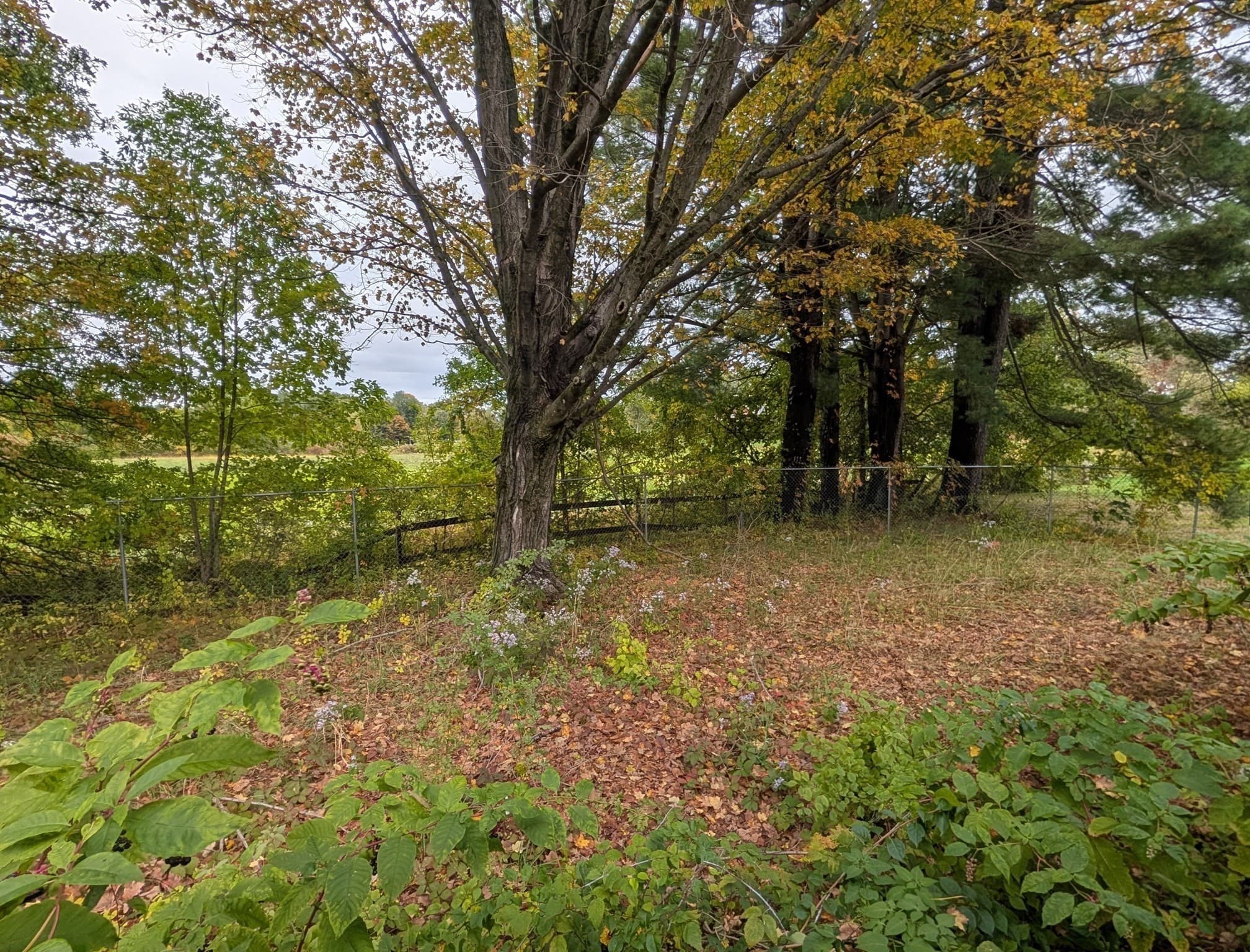 Single Family Residence at 341 Haydenville Rd, Whately MA 01093, Whately, photo 19 of 22