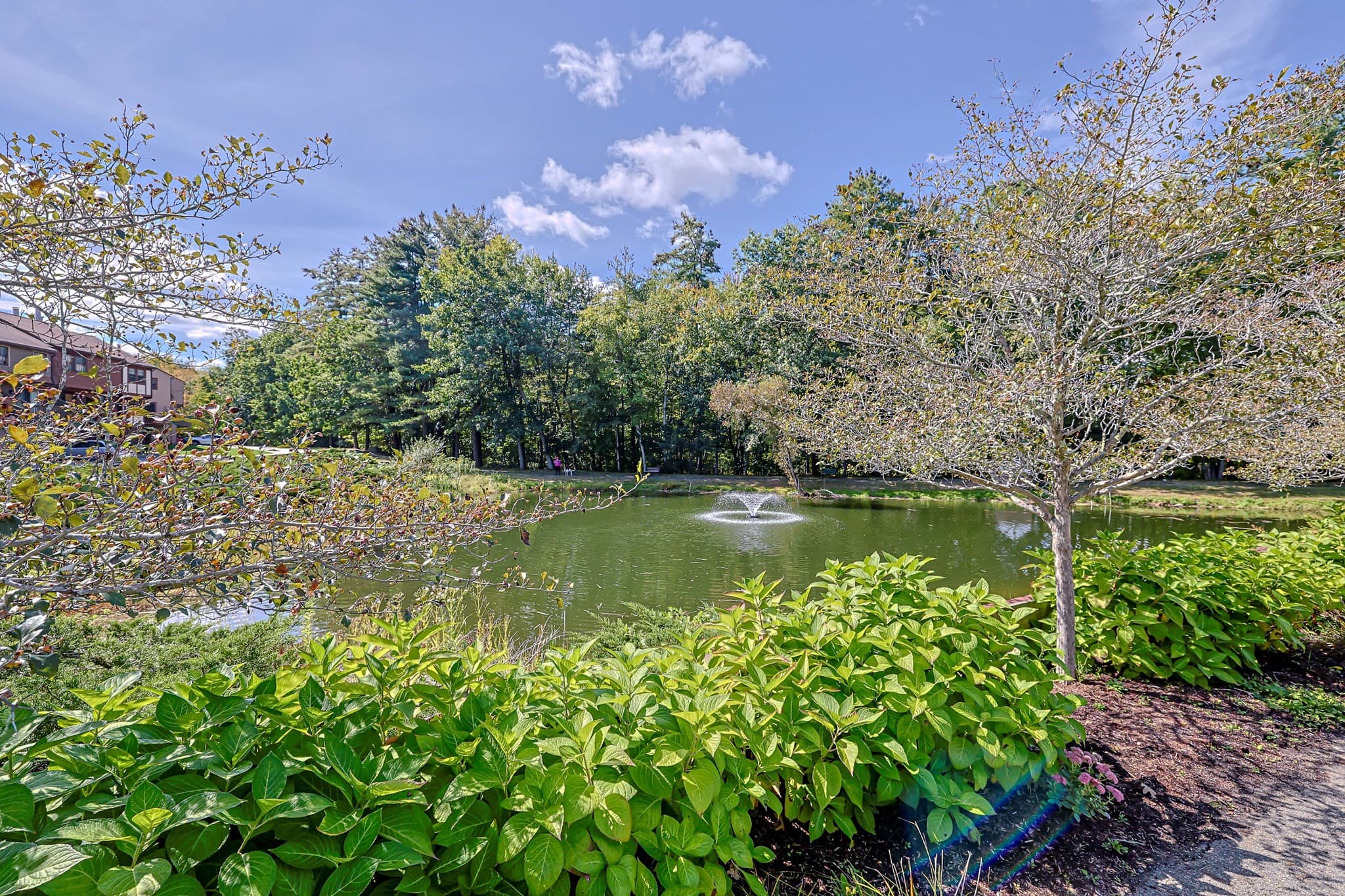Condominium at 52 Scotty Hollow Dr # 52, Chelmsford MA 01824, Chelmsford, photo 30 of 34