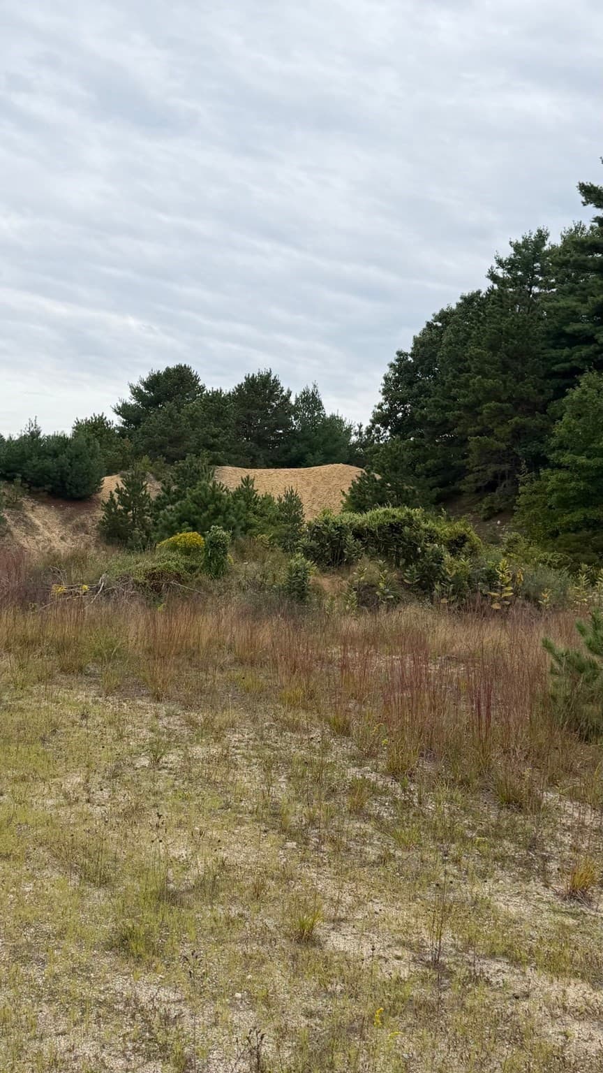 Agriculture at 0 Wareham St, Carver MA 02330, Carver, photo 3 of 6