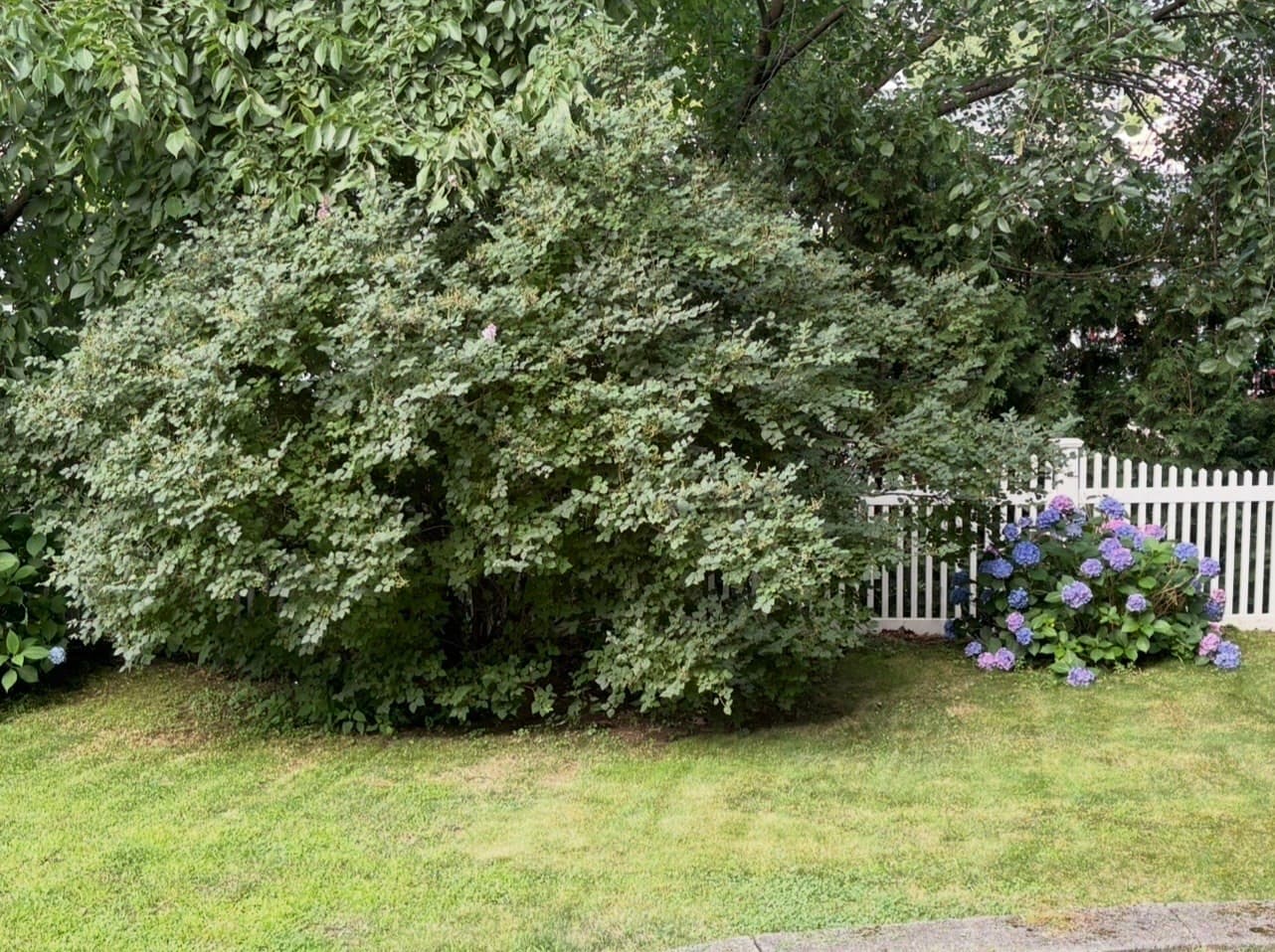 Single Family Residence at 103 Eastwood Circuit, Boston MA 02132, photo 27 of 30