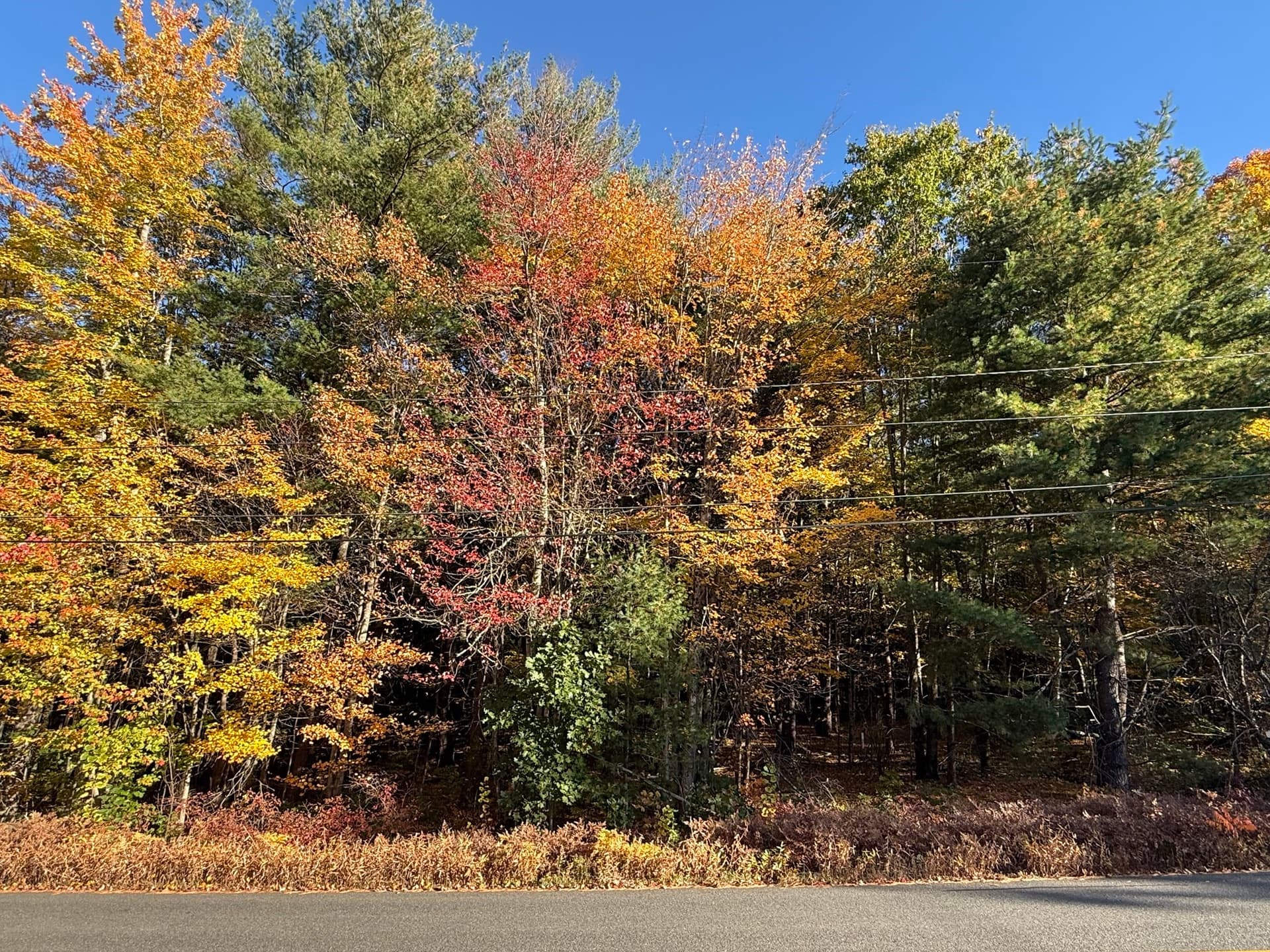 Residential at Lot 6 Northwest Road, Westfield MA 01085, photo 2 of 3
