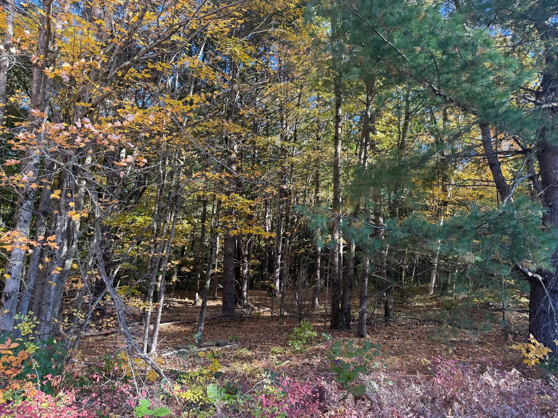 Residential at Lot 6 Northwest Road, Westfield MA 01085, photo 3 of 3