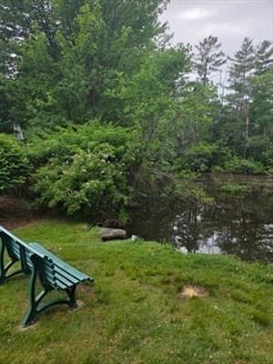 Condominium at 206 Greenbrook Dr # 206, Stoughton MA 02072, photo 17 of 17