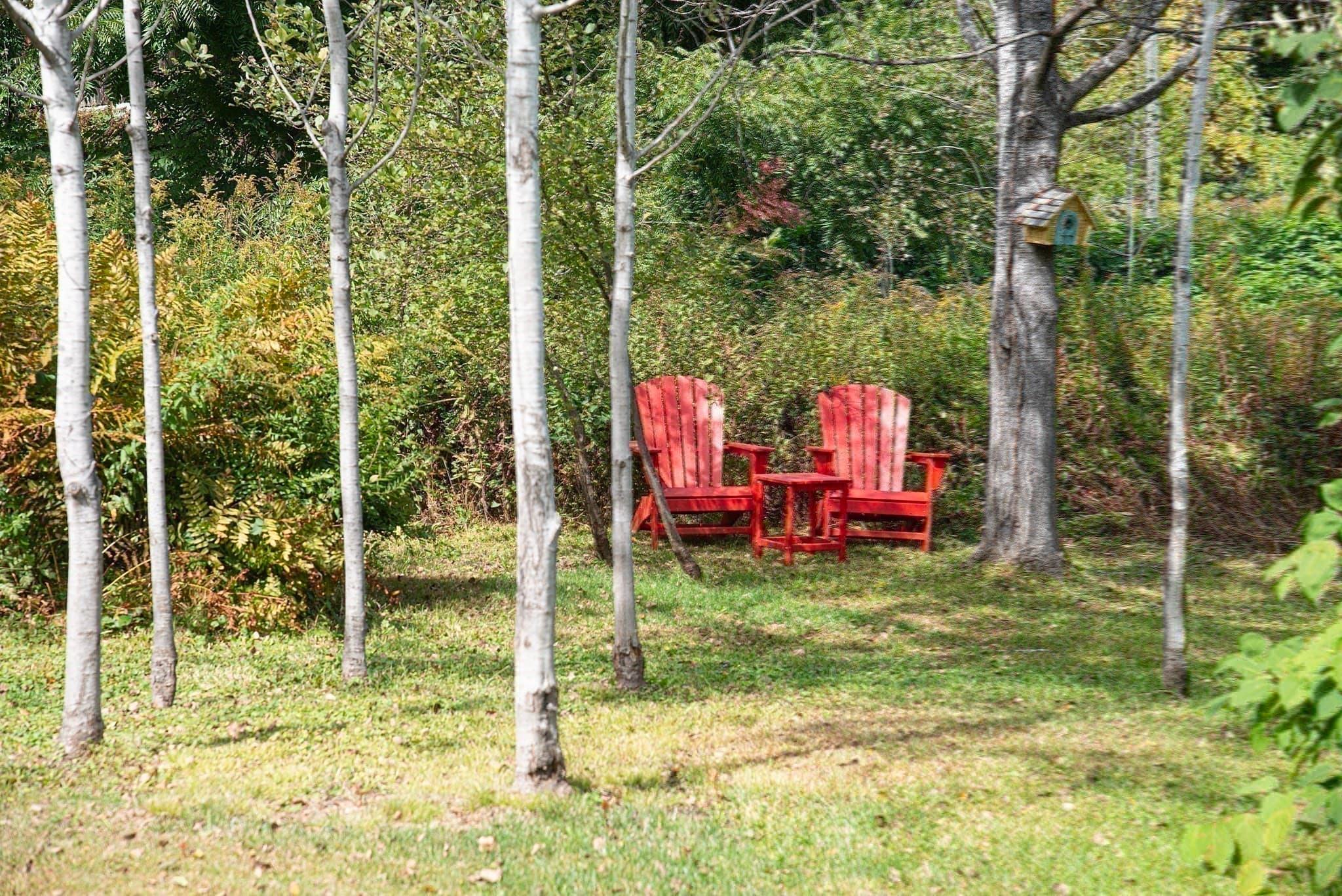 Single Family Residence at 51 Baptist Hill Rd, Conway MA 01341, Conway, photo 38 of 42