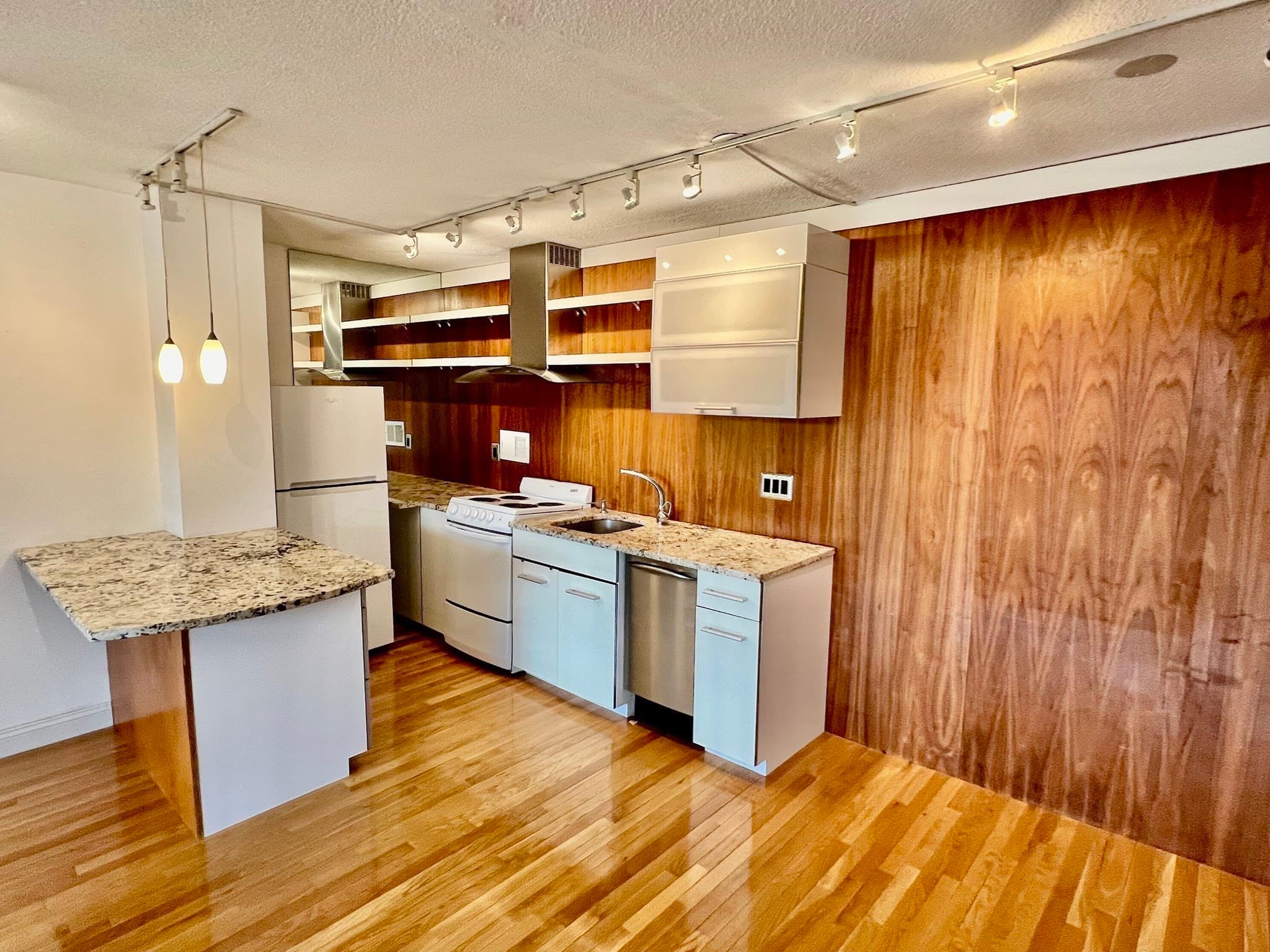 Condominium at 60 Longwood Avenue # 306, Brookline MA 02446, photo 9 of 42