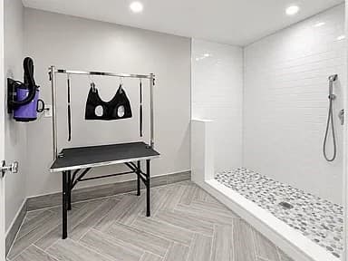 Condominium at 804 East 7th Street # 302, Boston MA 02127, Boston, photo 16 of 18