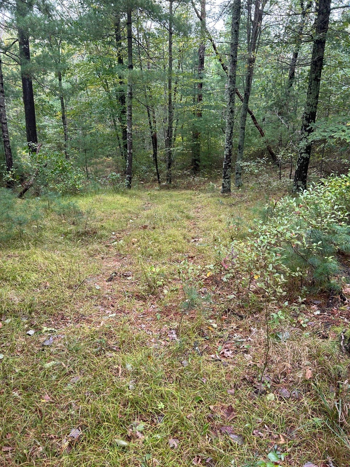 Residential at 0 Thompson St (Off), Gloucester MA 01930, Gloucester, photo 10 of 27