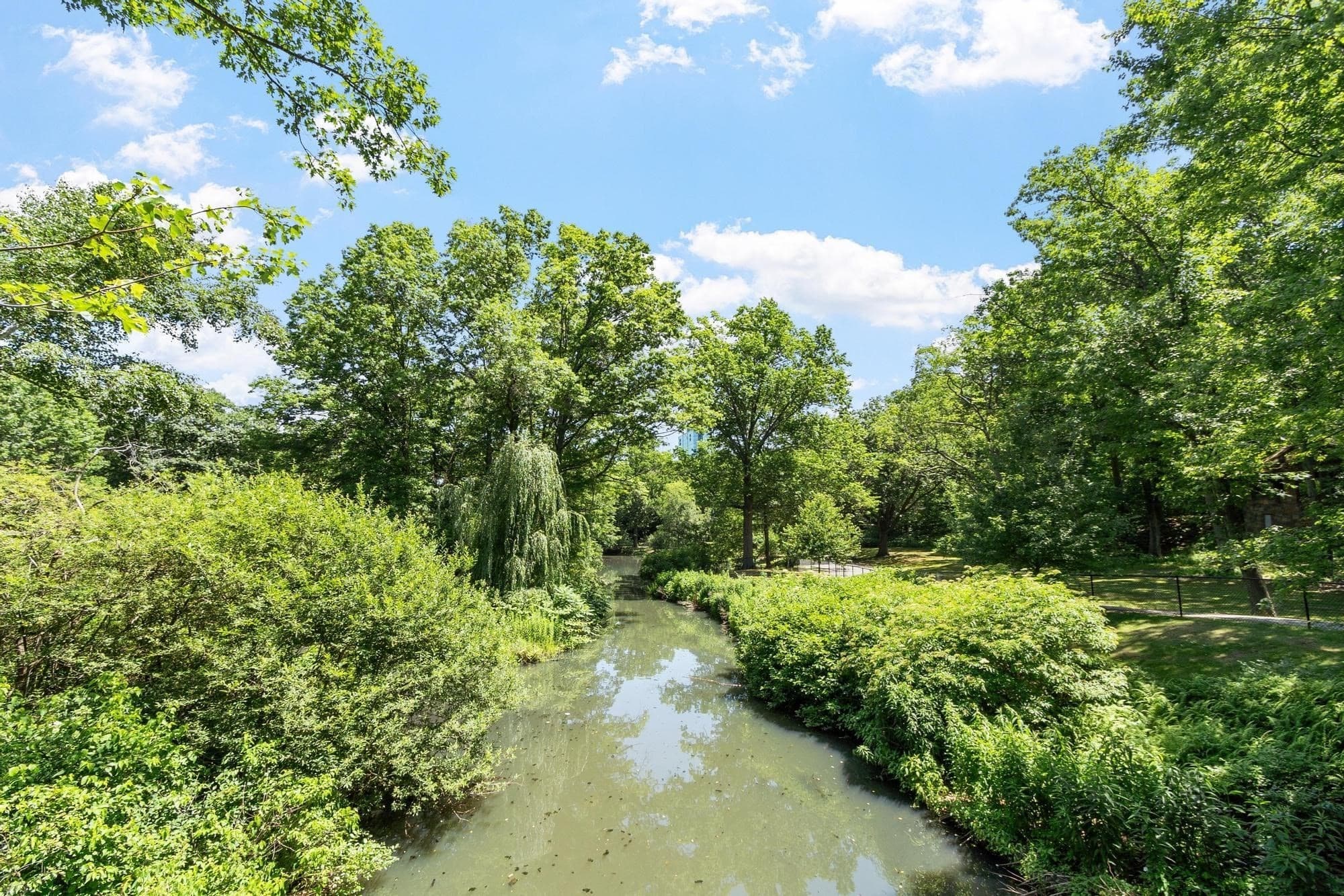 Condominium at 120 Riverway # 4, Boston MA 02215, Boston, photo 26 of 26