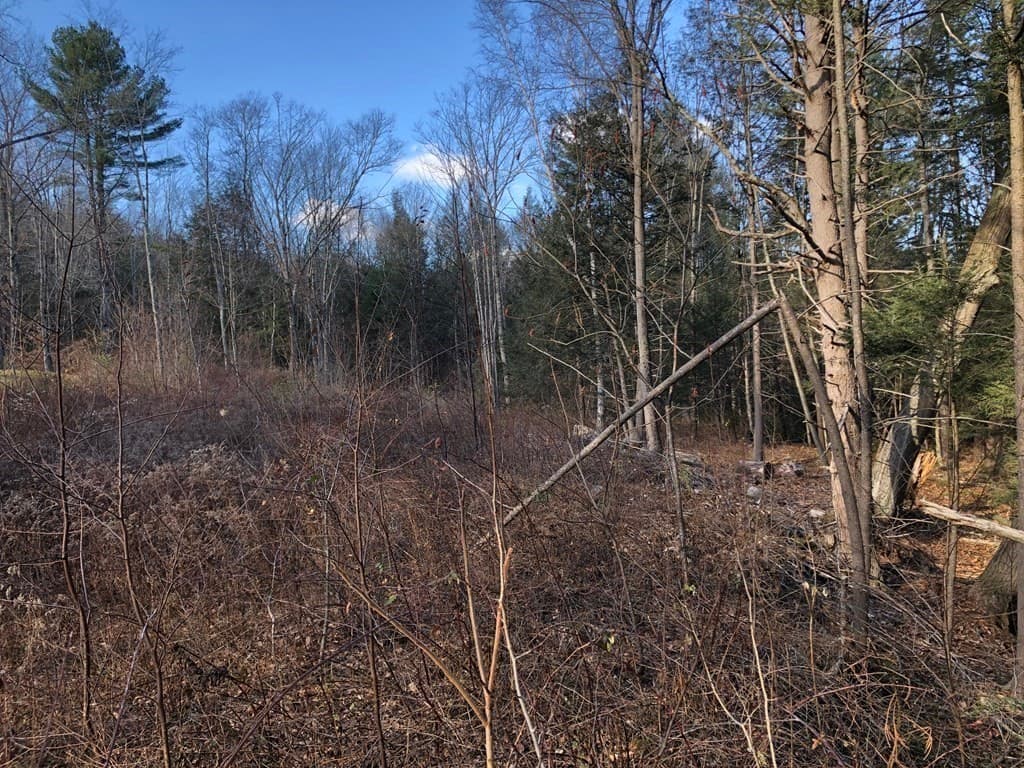 Residential at 0 Potato Hill Road, Westminster MA 01473, Westminster, photo 5 of 5