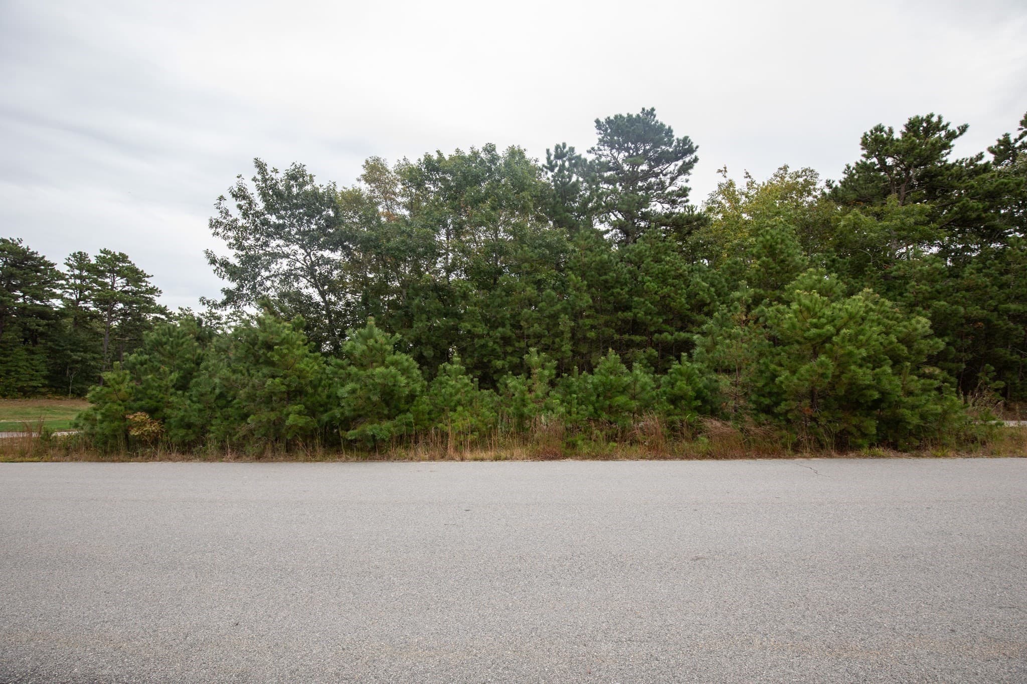 Residential at 49 Seabiscuit Dr, Plymouth MA 02360, Plymouth, photo 2 of 7