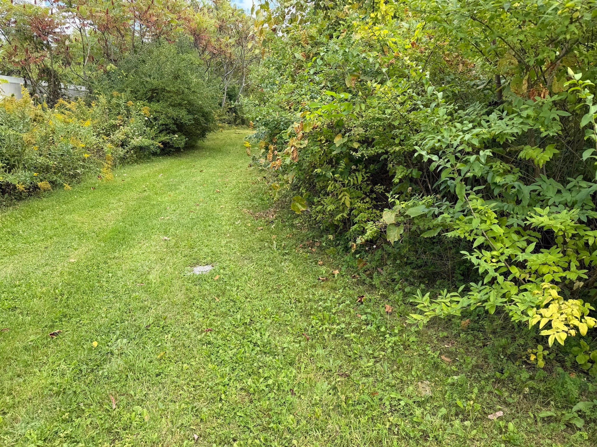 Agriculture at 0 Federal Hill Rd, Oxford MA 01540, Oxford, photo 7 of 11