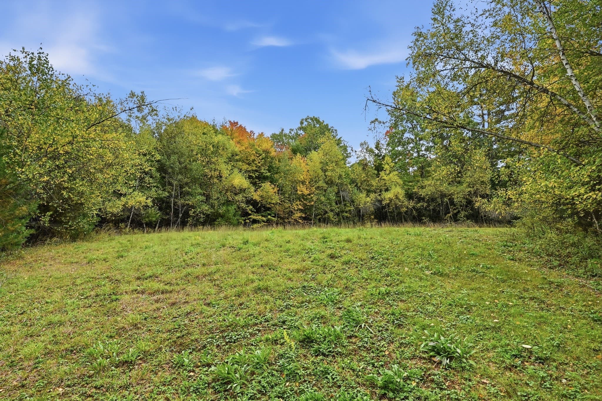 Commercial Sale at 0 & 222 Baldwinville State Rd, Winchendon MA 01475, Winchendon, photo 6 of 8