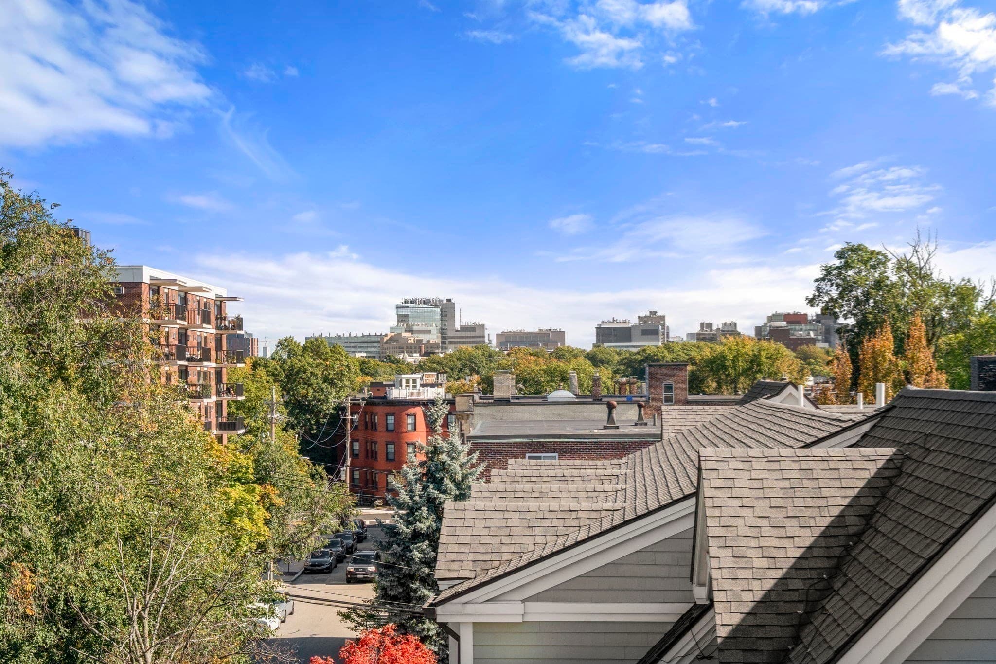 Condominium at 36 Dwight St # 4, Brookline MA 02446, Brookline, photo 27 of 32