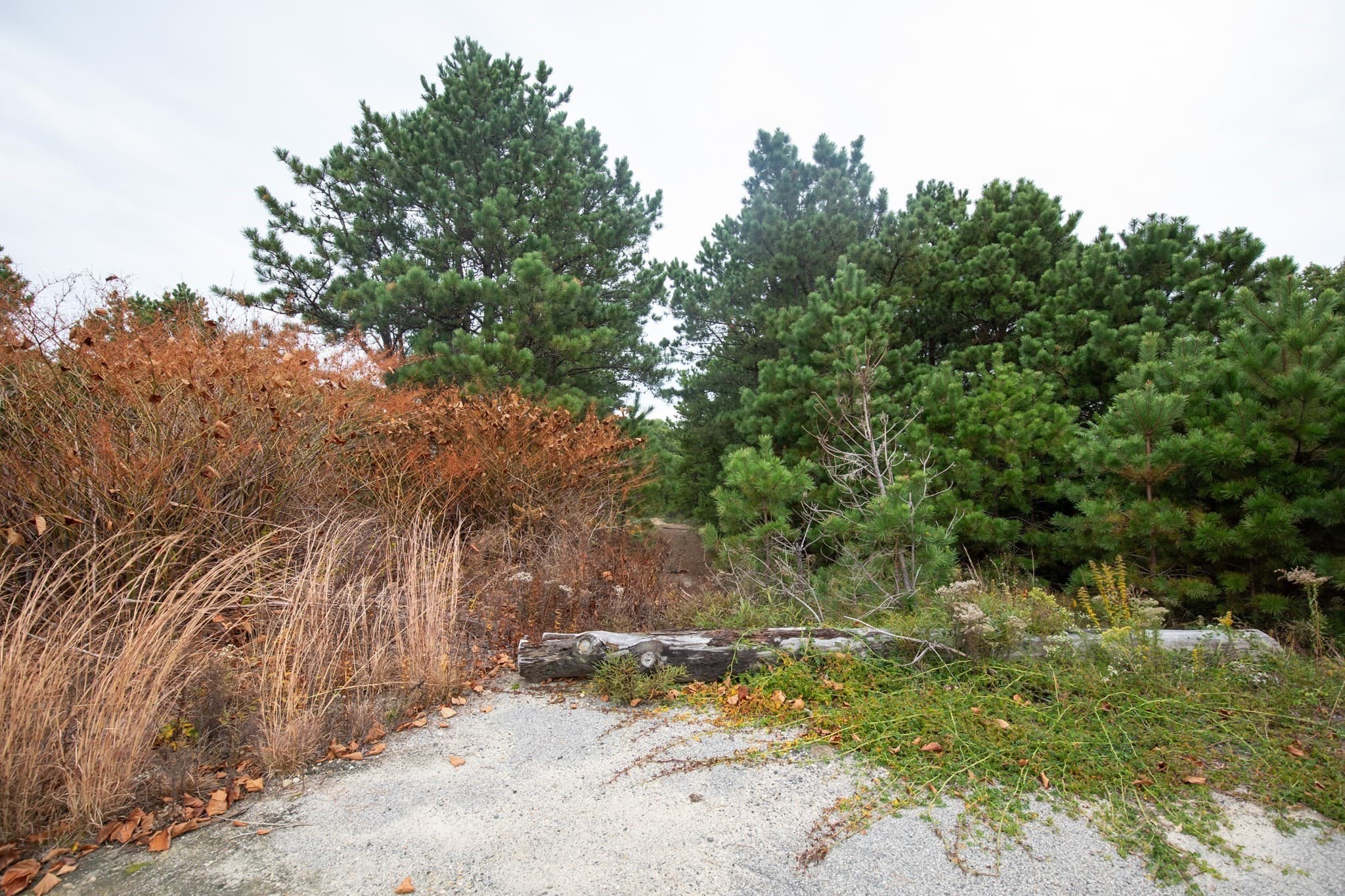 Residential at 85 Seabiscuit Dr, Plymouth MA 02360, Plymouth, photo 3 of 9