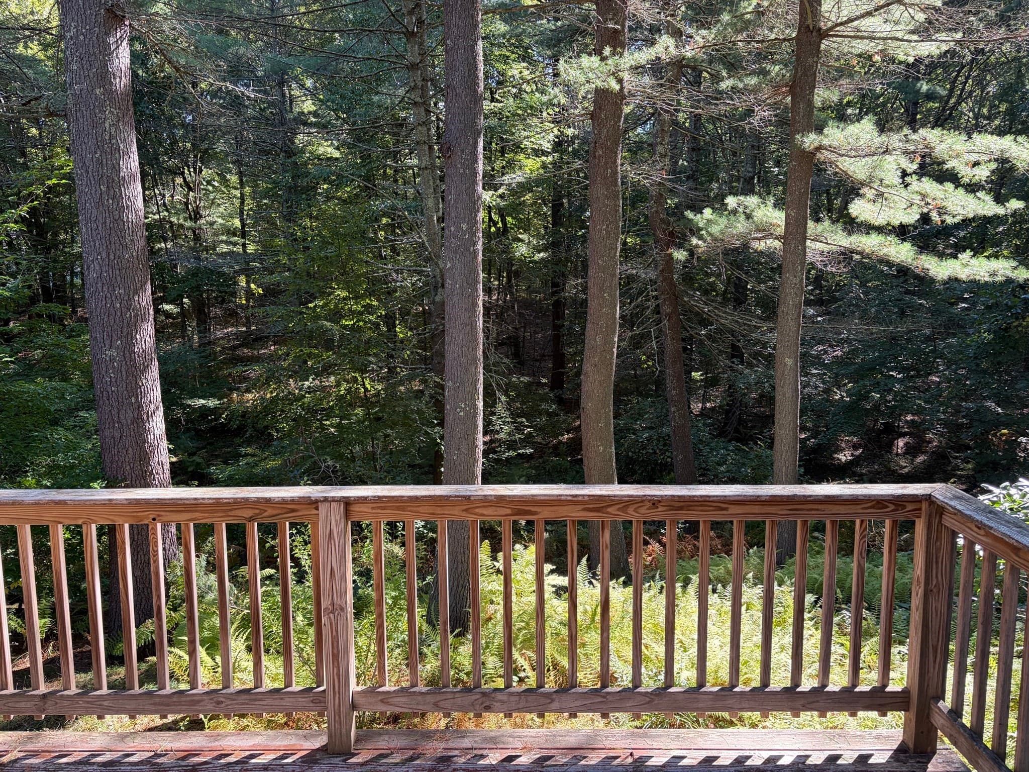 Single Family Residence at 23 Forest St, Upton MA 01568, Upton, photo 17 of 38