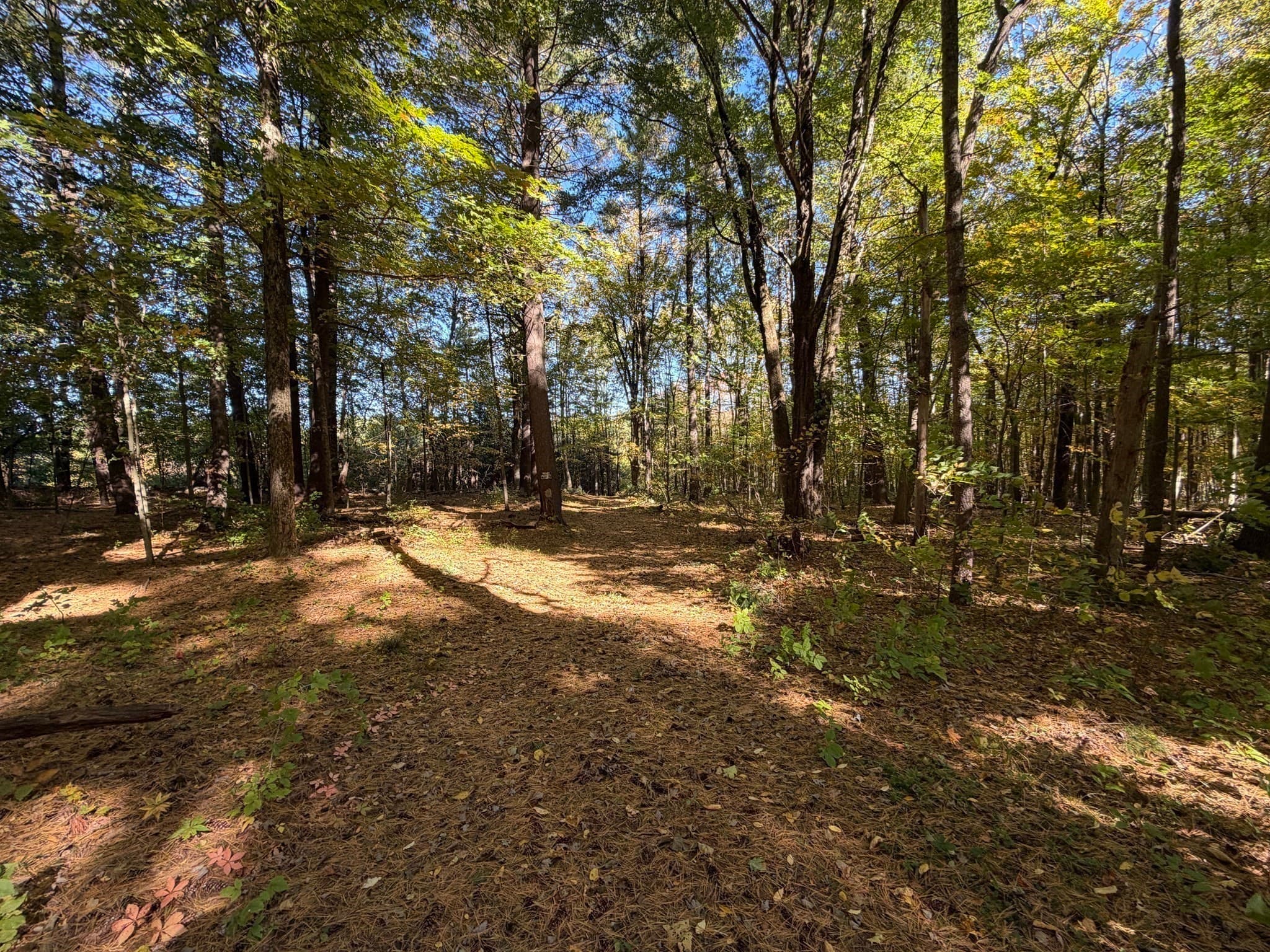 Residential at 15 Carrier Lane, Sutton MA 01590, Sutton, photo 2 of 6