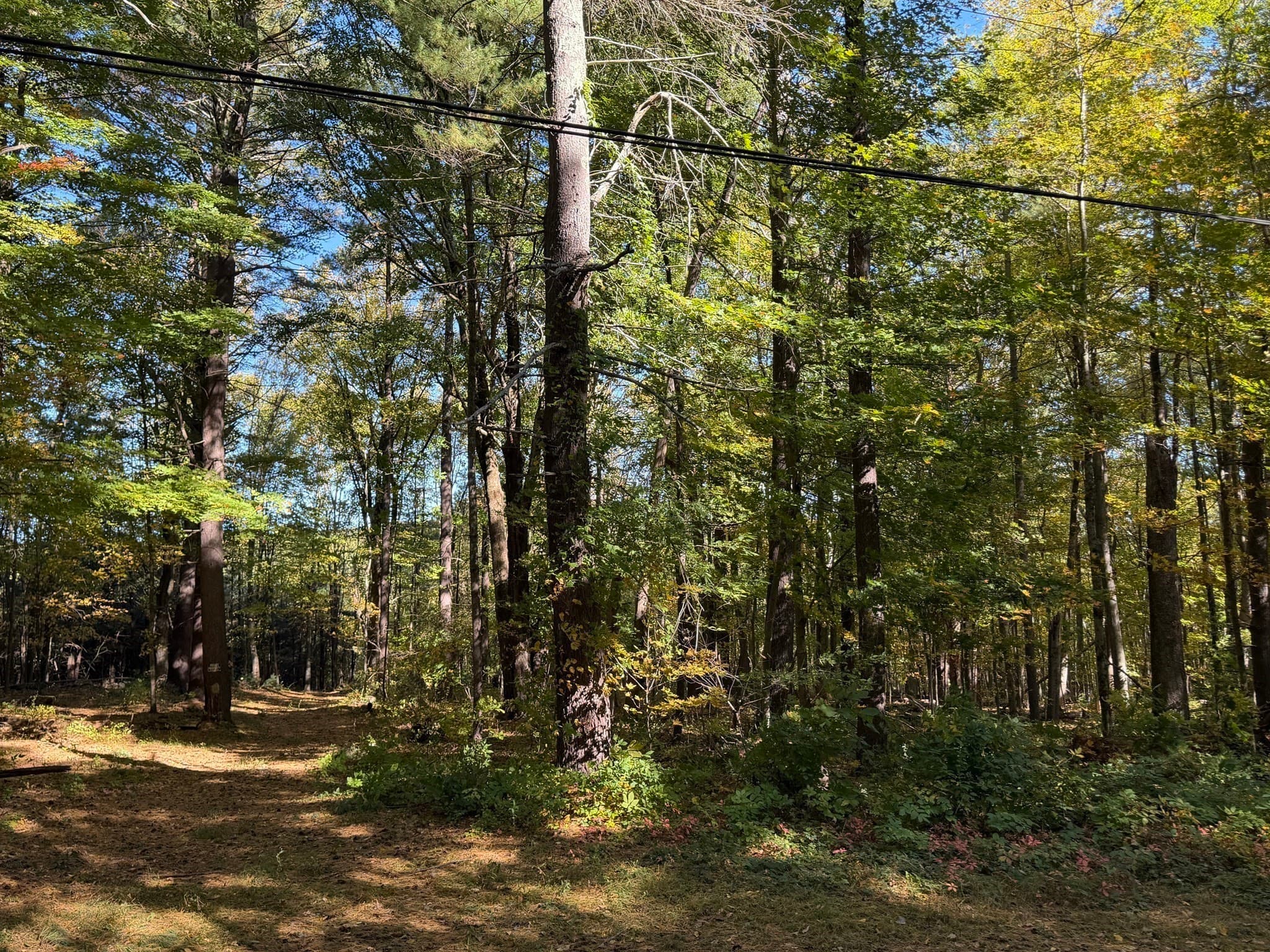 15 Carrier Lane, Sutton MA 01590