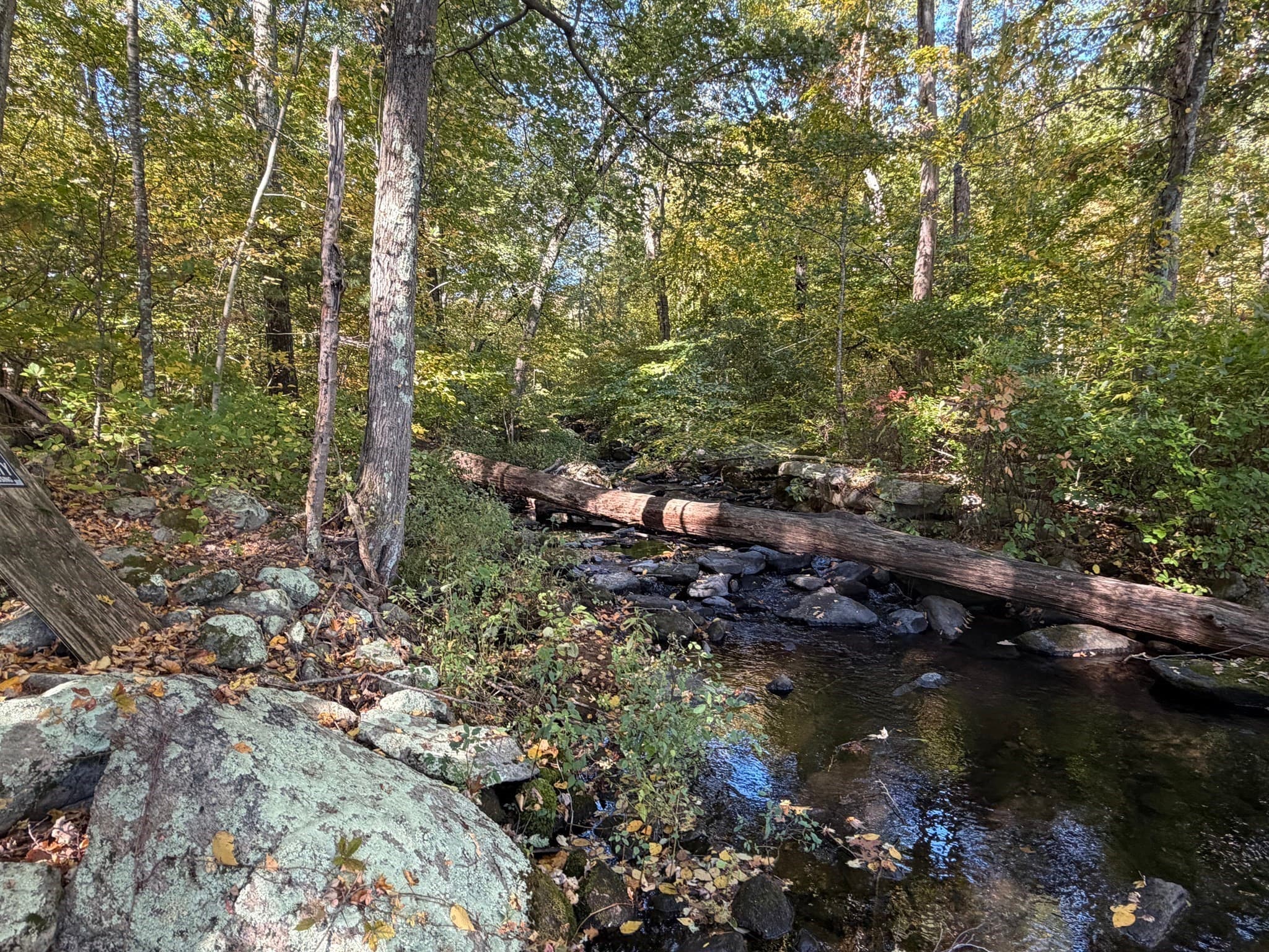 Residential at 15 Carrier Lane, Sutton MA 01590, Sutton, photo 4 of 6