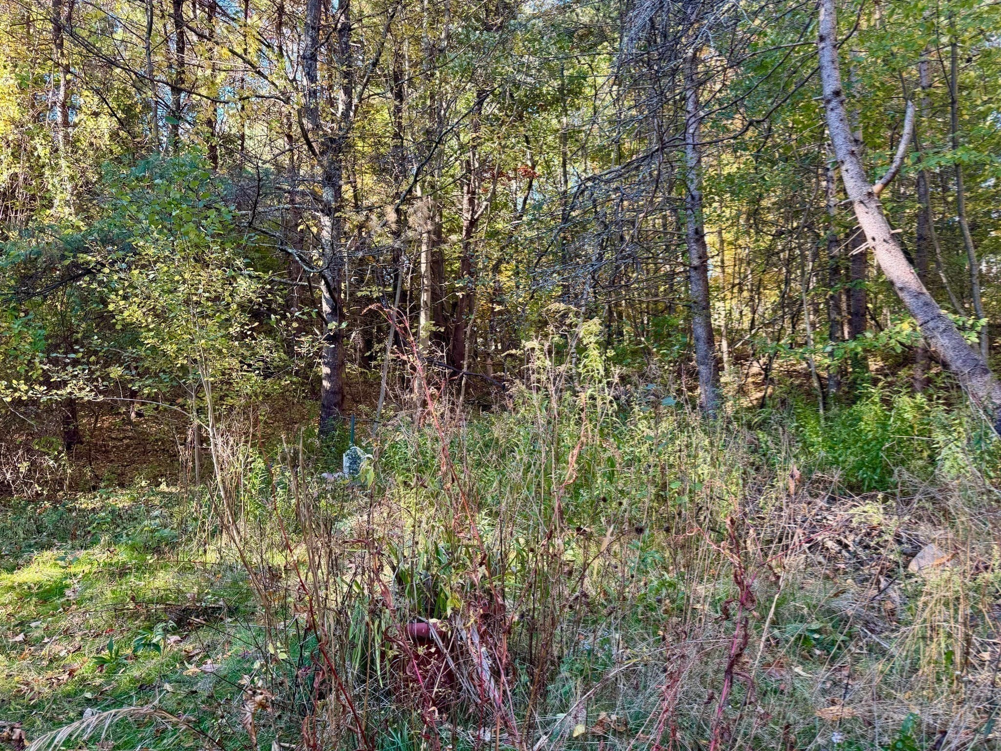 Single Family Residence at 5 Berry Corner Rd, Charlton MA 01507, Charlton, photo 26 of 30