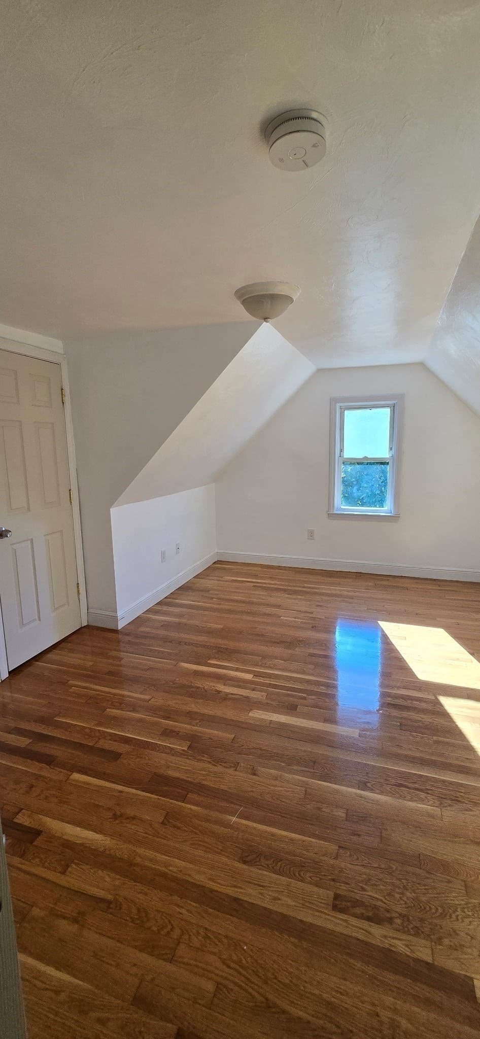 Multi Family at 376 Ferry St, Everett MA 02149, Everett, photo 16 of 19