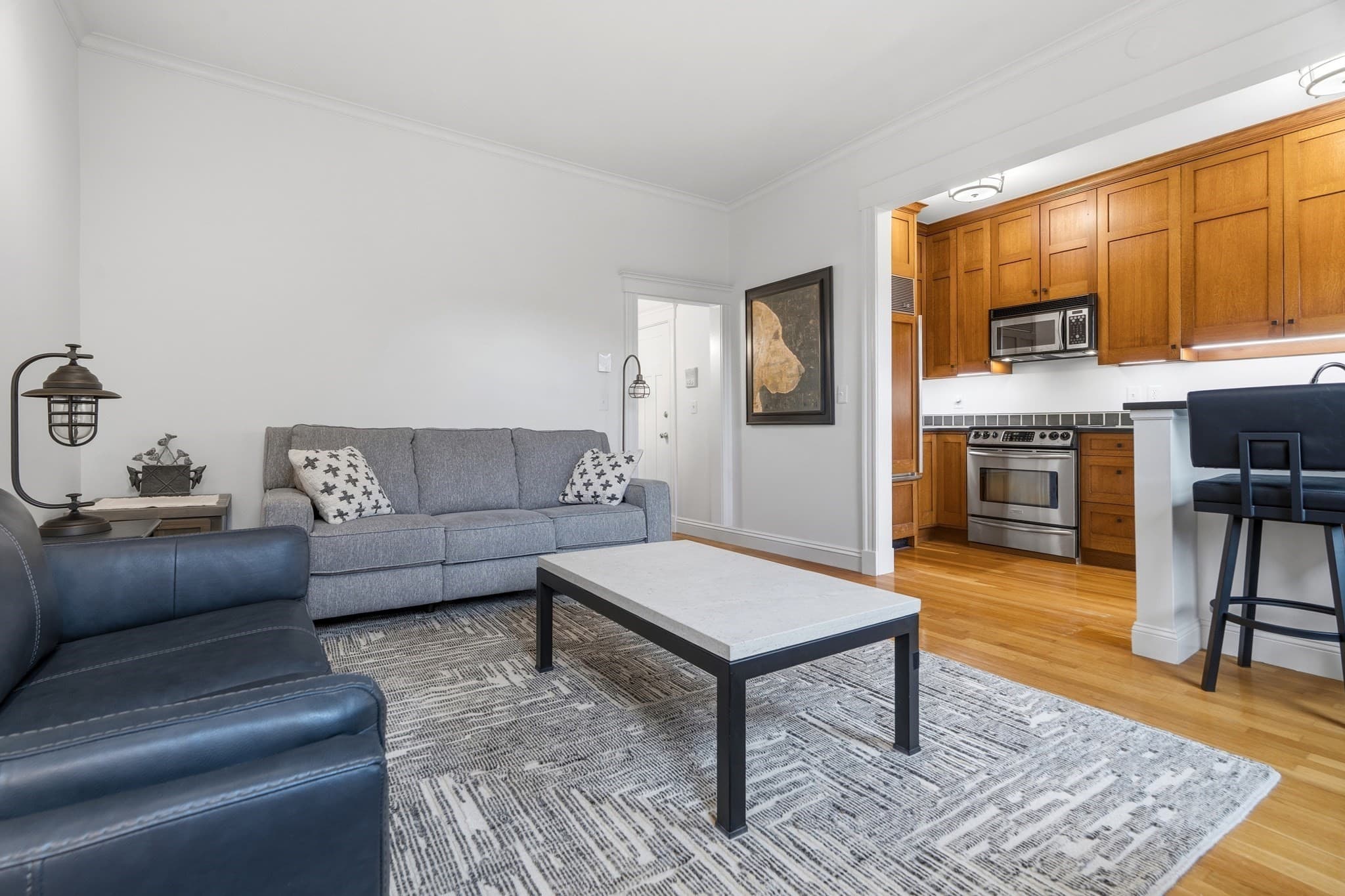 Condominium at 202 W Springfield St # 5, Boston MA 02118, Boston, photo 6 of 18