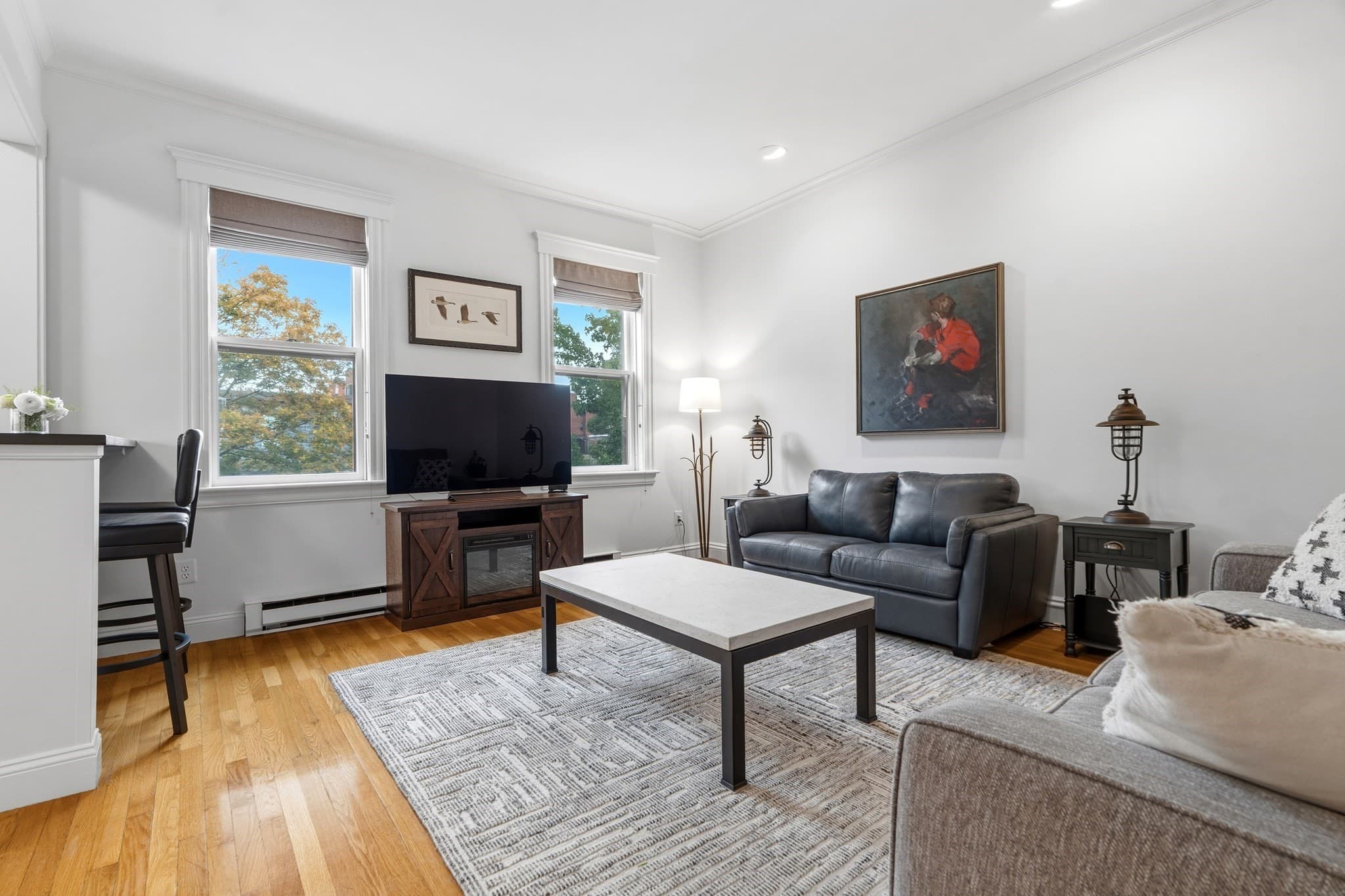 Condominium at 202 W Springfield St # 5, Boston MA 02118, Boston, photo 8 of 18