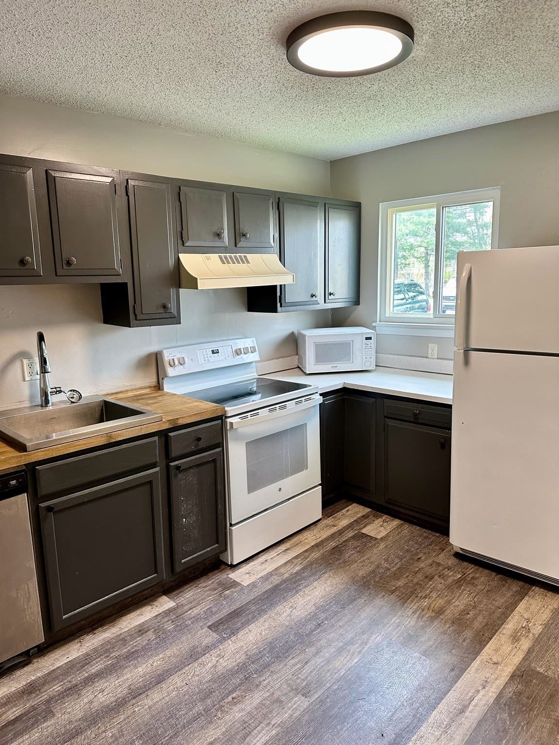 Condominium at 170 E Hadley Rd # 29, Amherst MA 01002, Amherst, photo 2 of 12