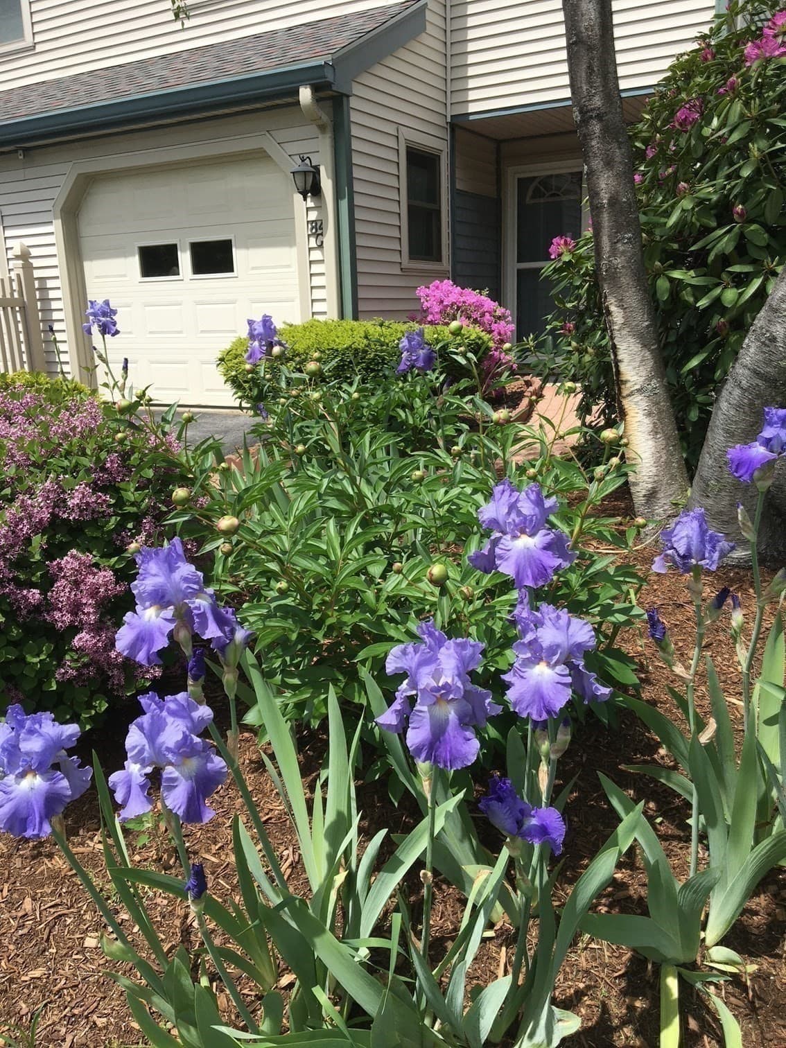 Condominium at 84G Crystal Brook Way # G, Marlborough MA 01752, Marlborough, photo 14 of 20