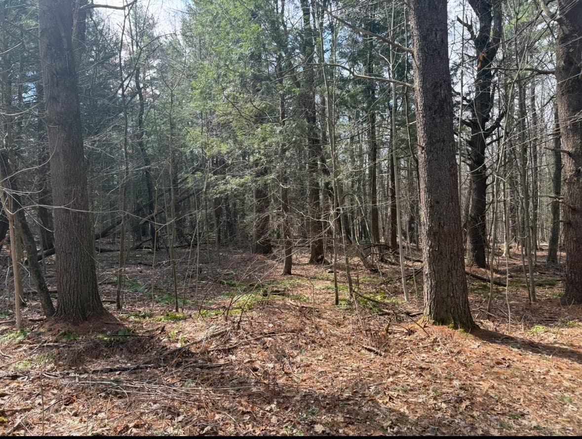 0 Island Acres, Blandford MA 01008